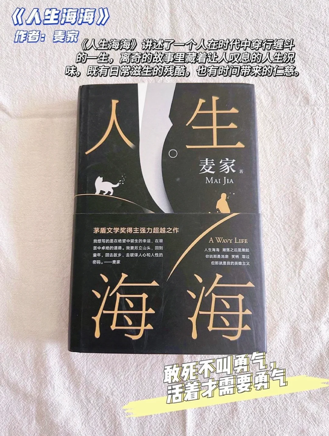 2024年值得一看的豆瓣高分治愈系小说推荐