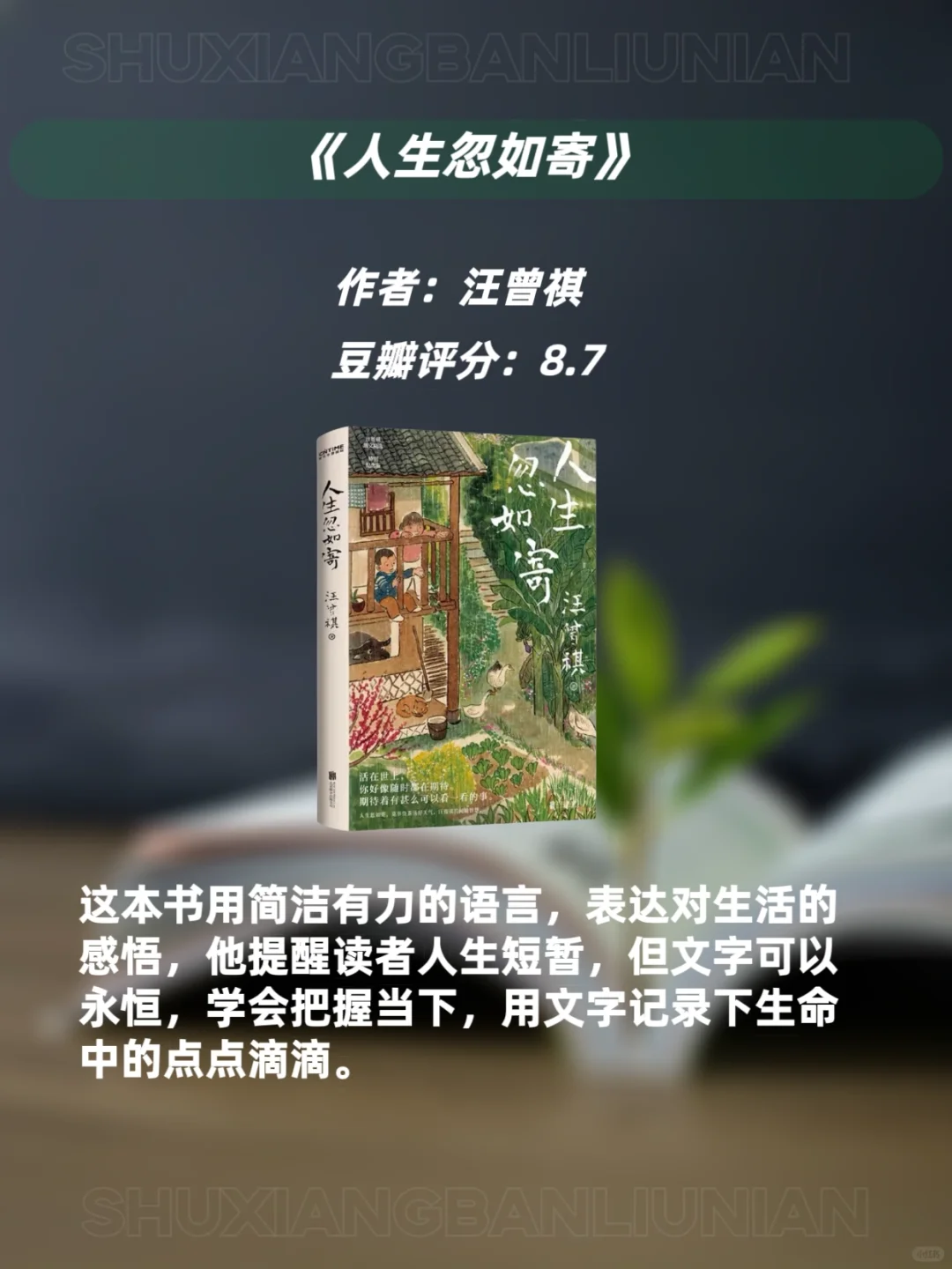 文笔太差的女生🔥请翻烂这9本宝藏书📚