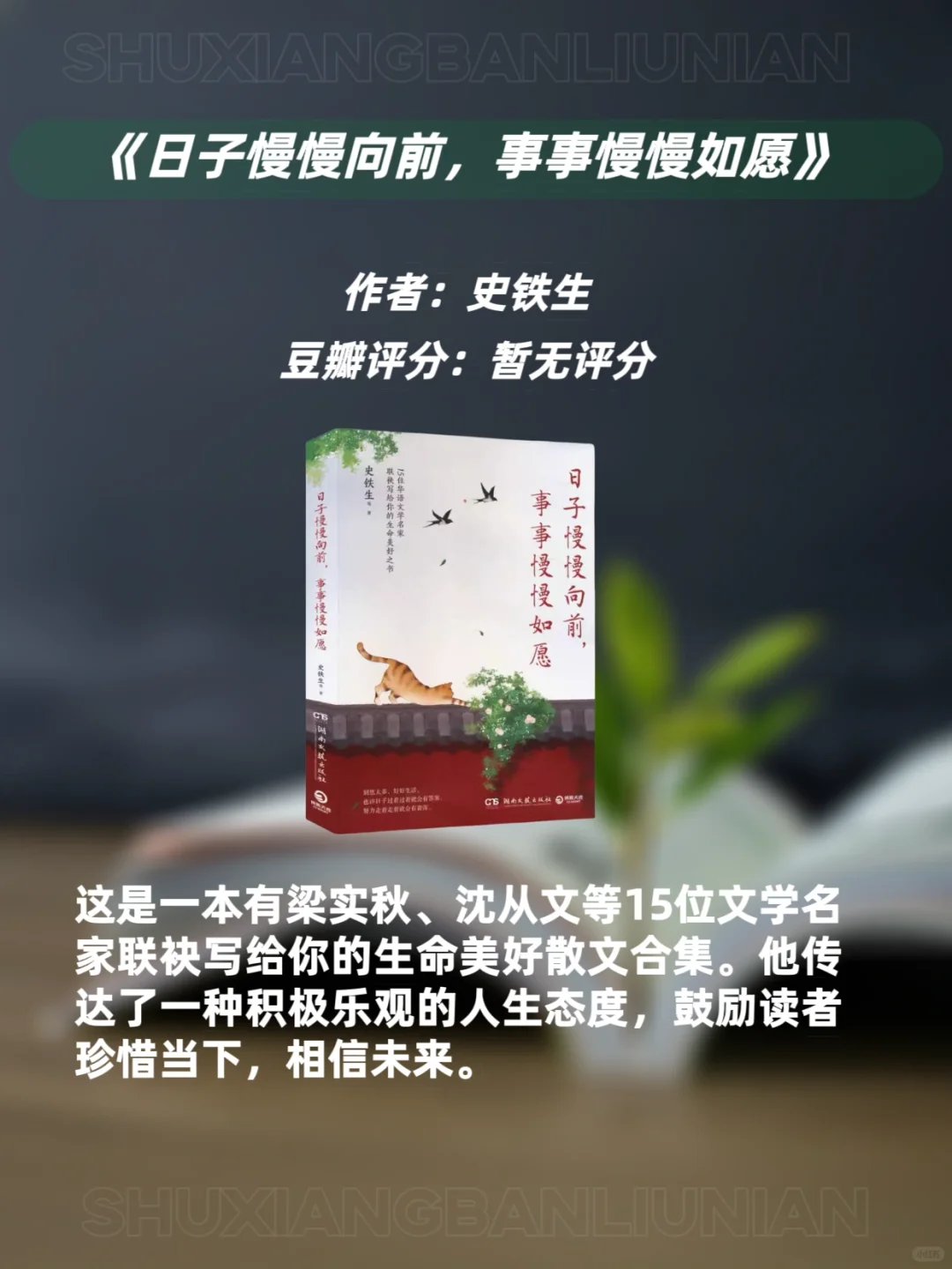 文笔太差的女生🔥请翻烂这9本宝藏书📚