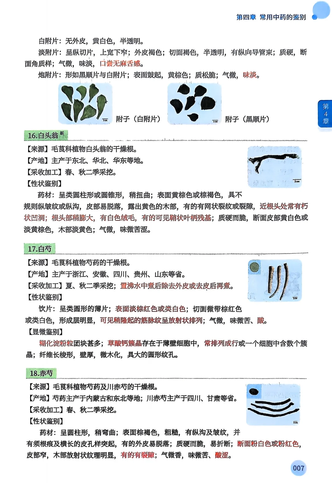 2025年执业药师执业中药师一本通全家桶pdf