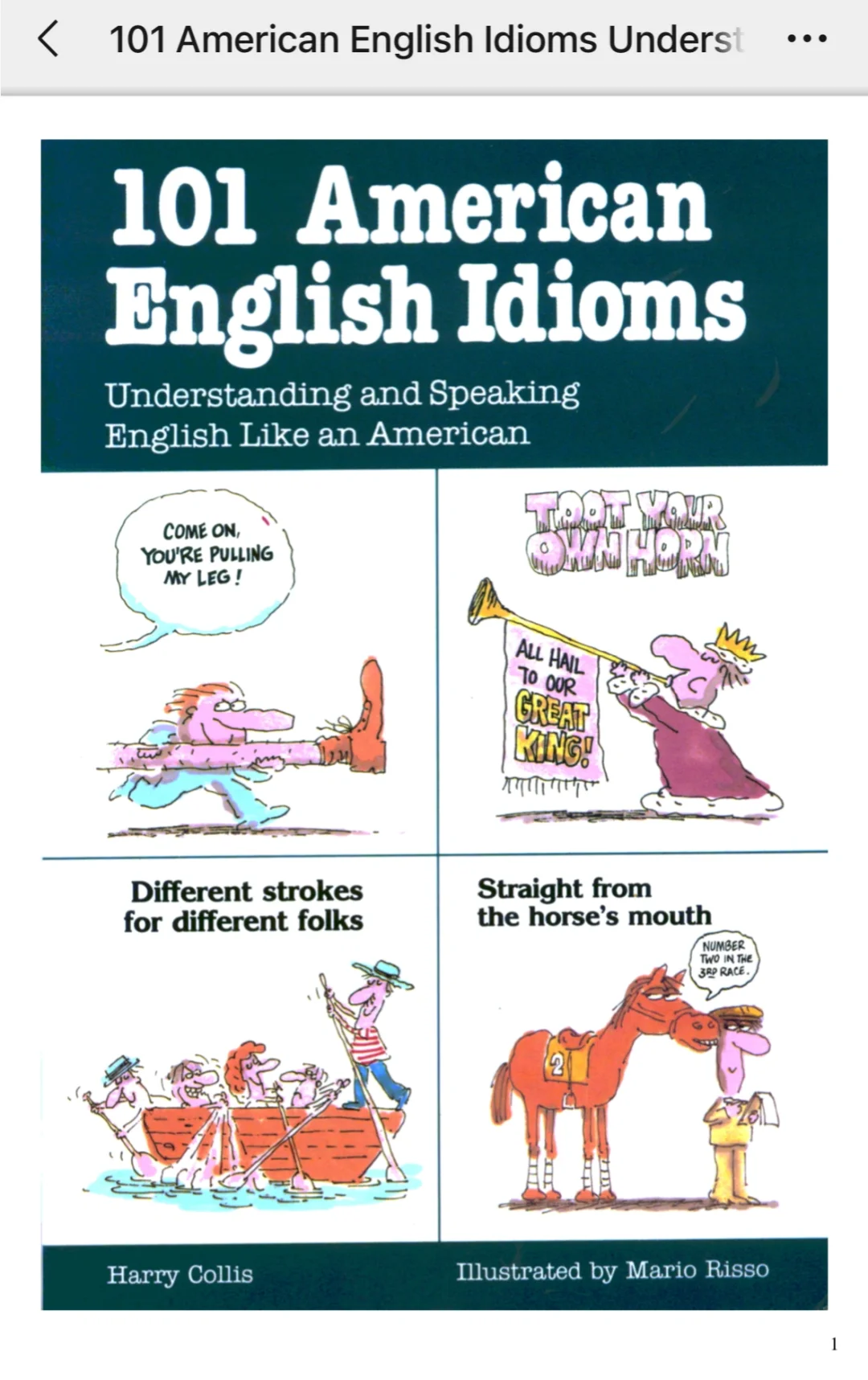 101 American English Idioms 电子书 pdf