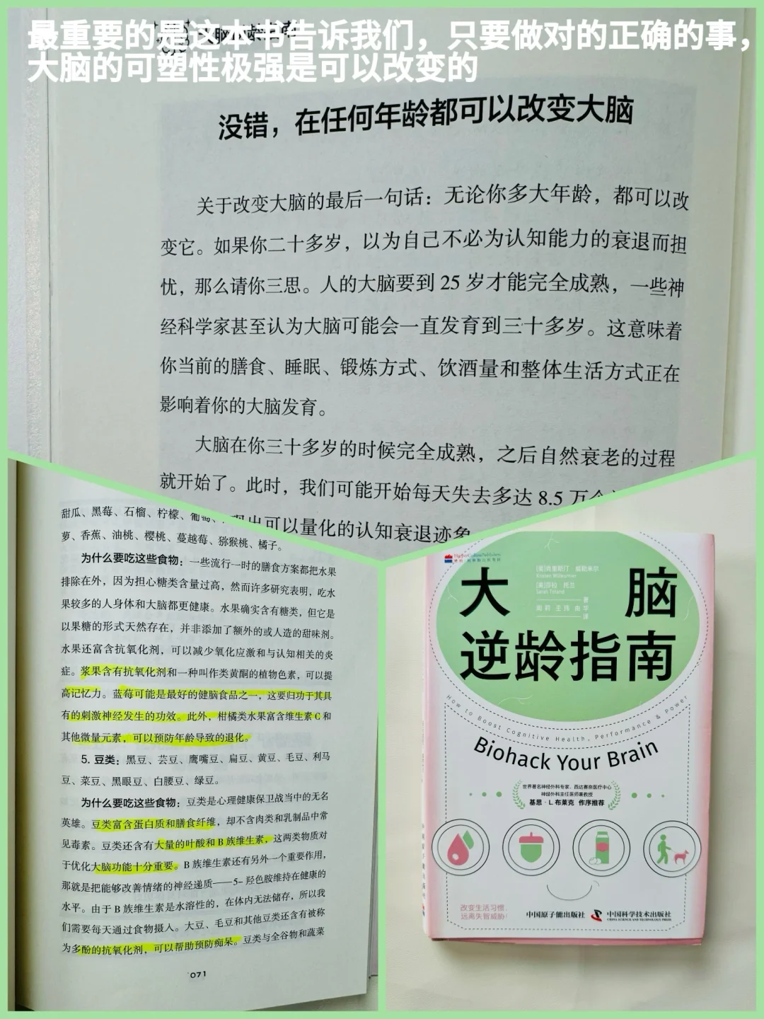 12本改变我生活方式的饮食抗🔥书单