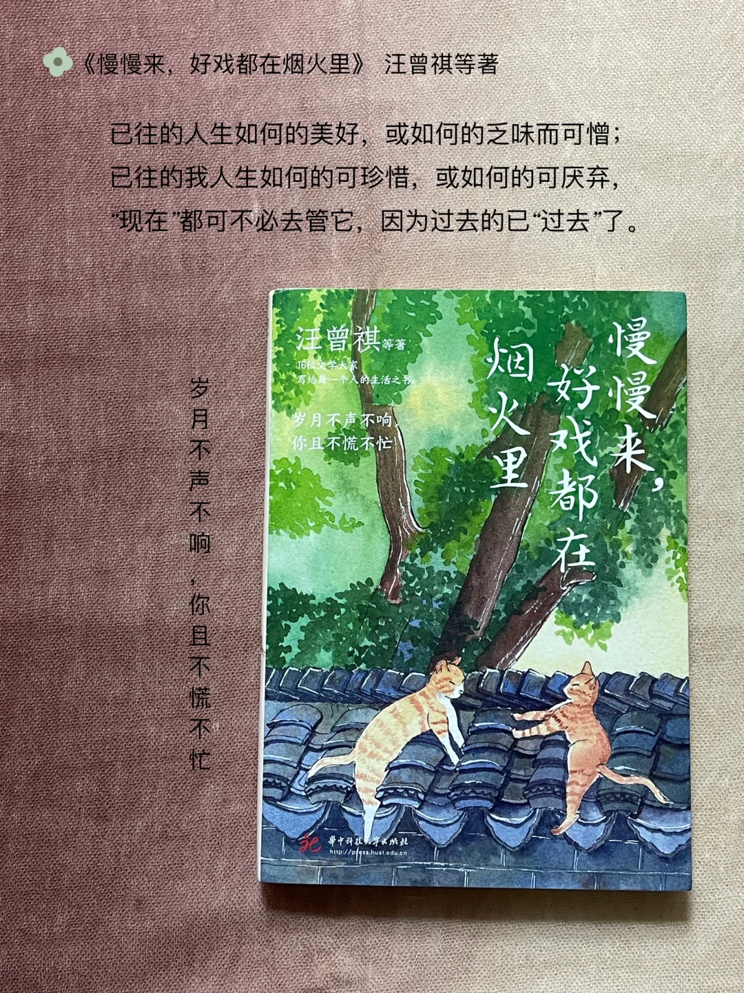 📖4月已读完-治愈系的书单🌸