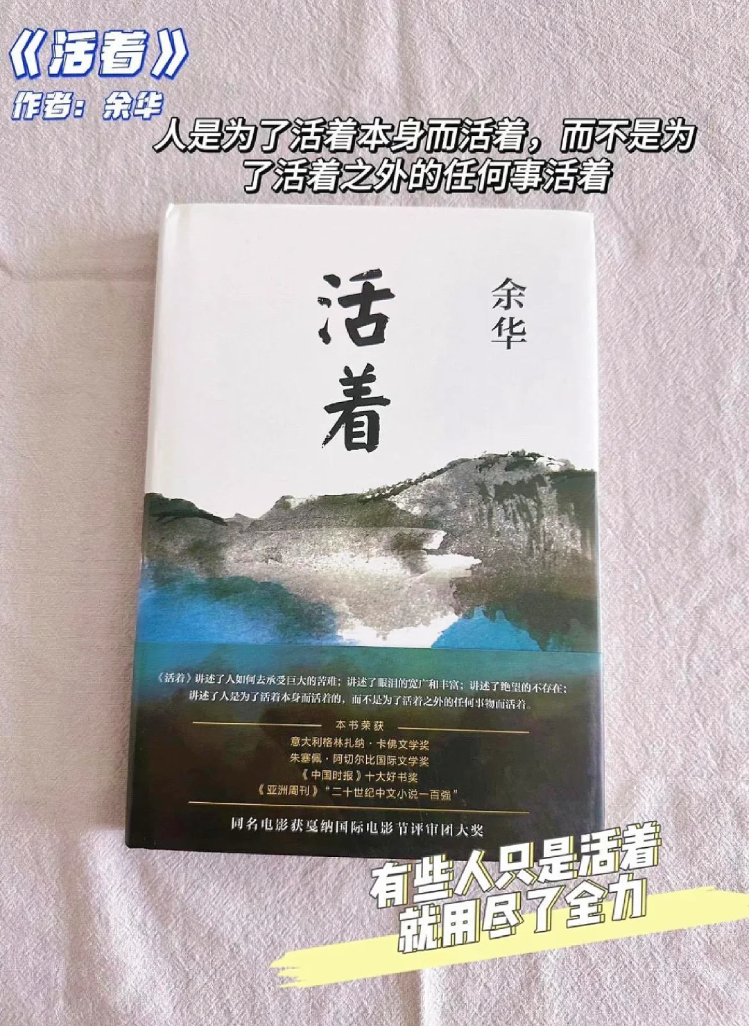 2024年值得一看的豆瓣高分治愈系小说推荐