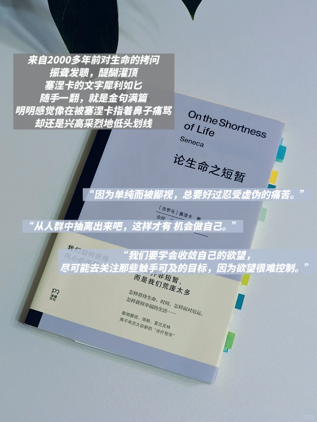 INFJ灵魂书单💙自由与真我永不换