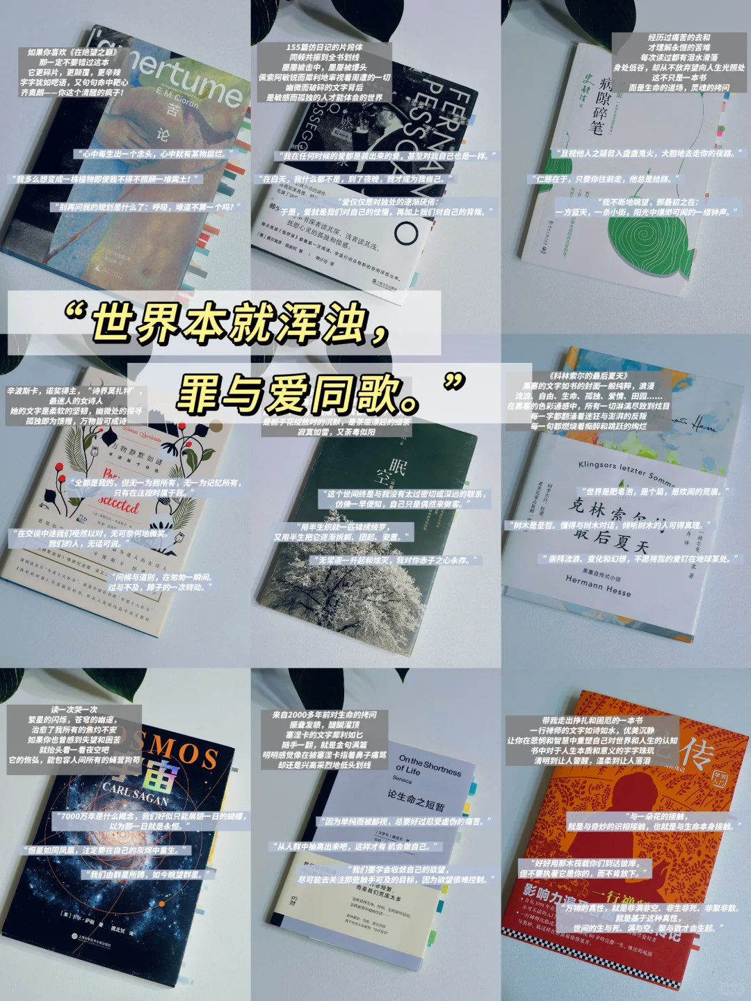 INFJ灵魂书单💙自由与真我永不换