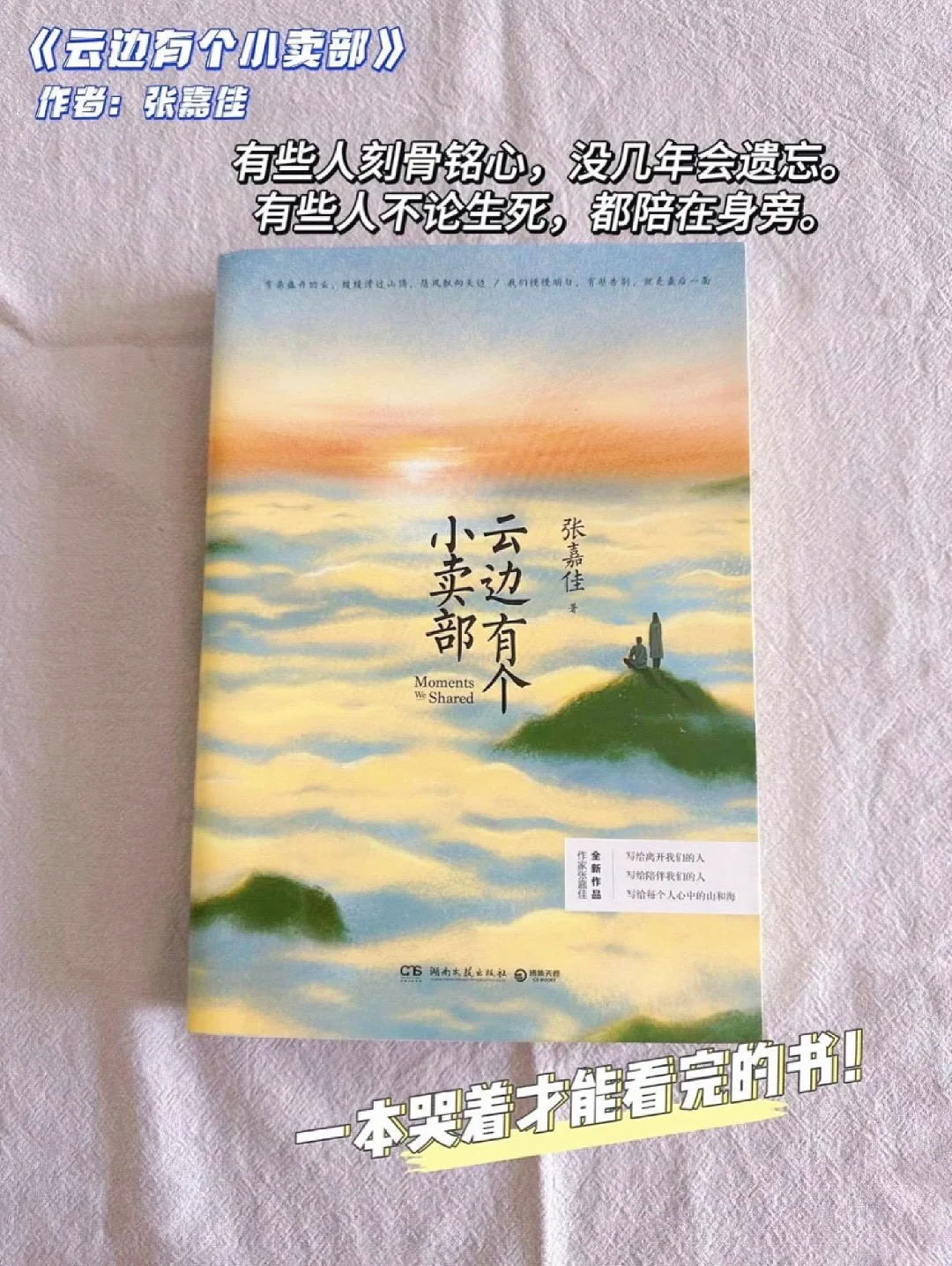 2024年值得一看的豆瓣高分治愈系小说推荐
