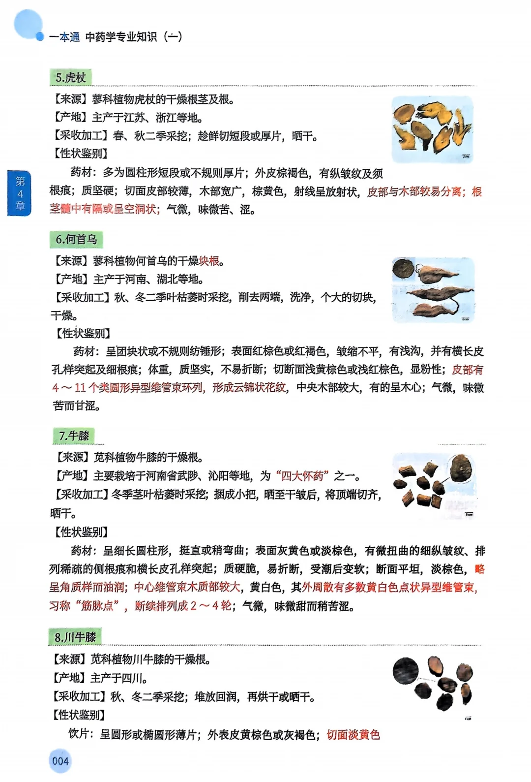 2025年执业药师执业中药师一本通全家桶pdf