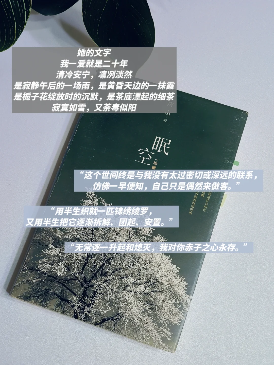INFJ灵魂书单💙自由与真我永不换