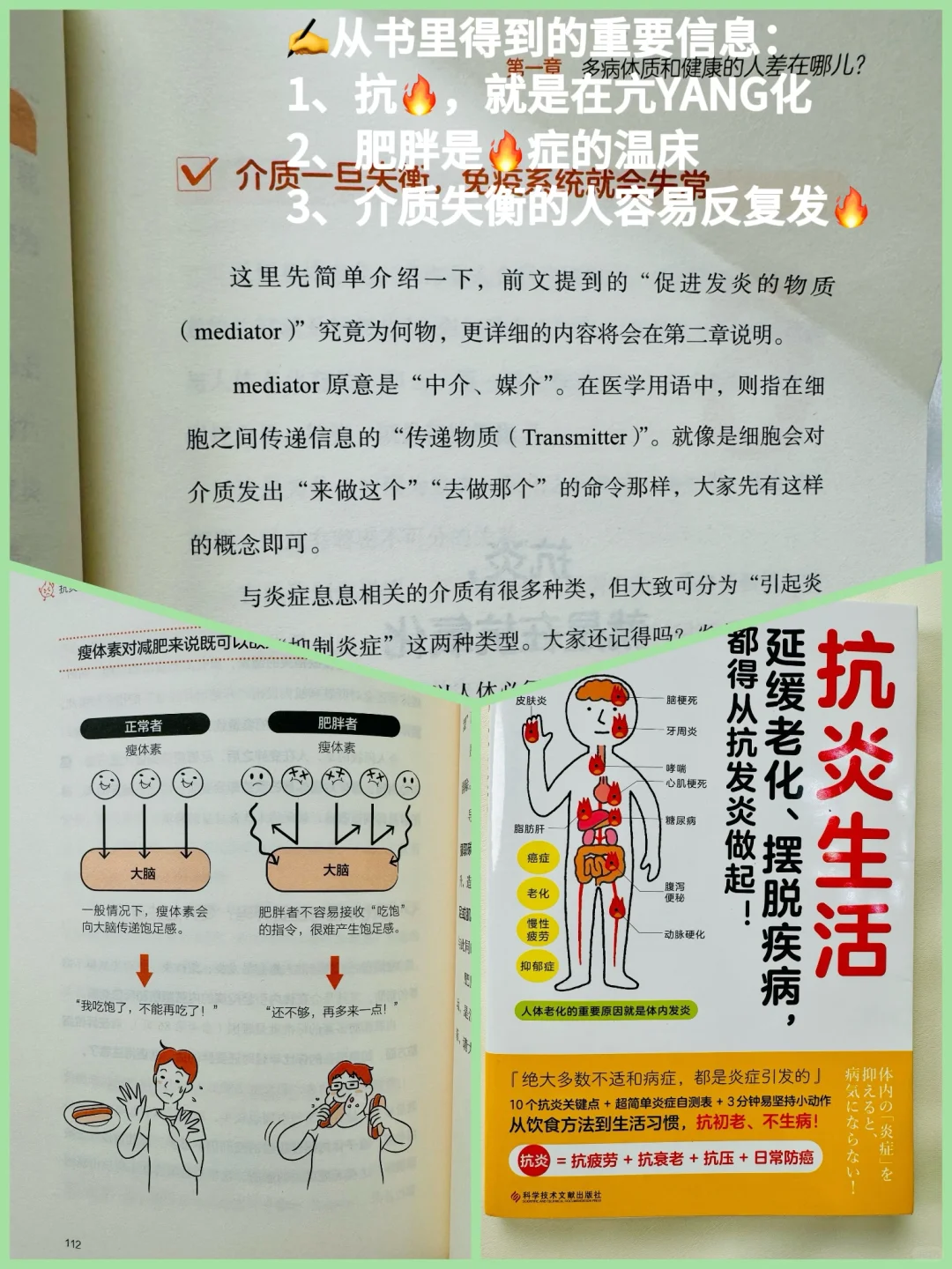 12本改变我生活方式的饮食抗🔥书单