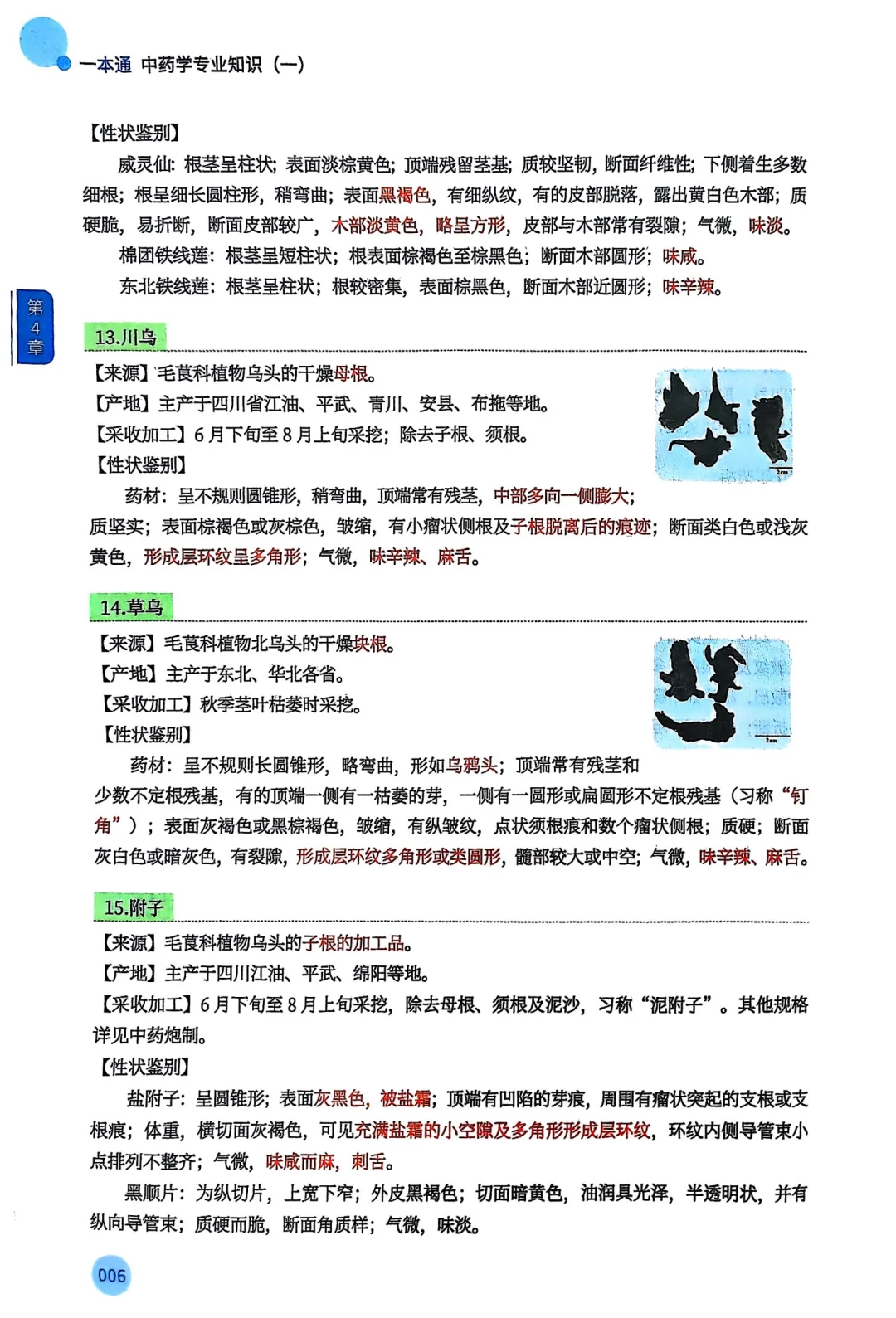 2025年执业药师执业中药师一本通全家桶pdf