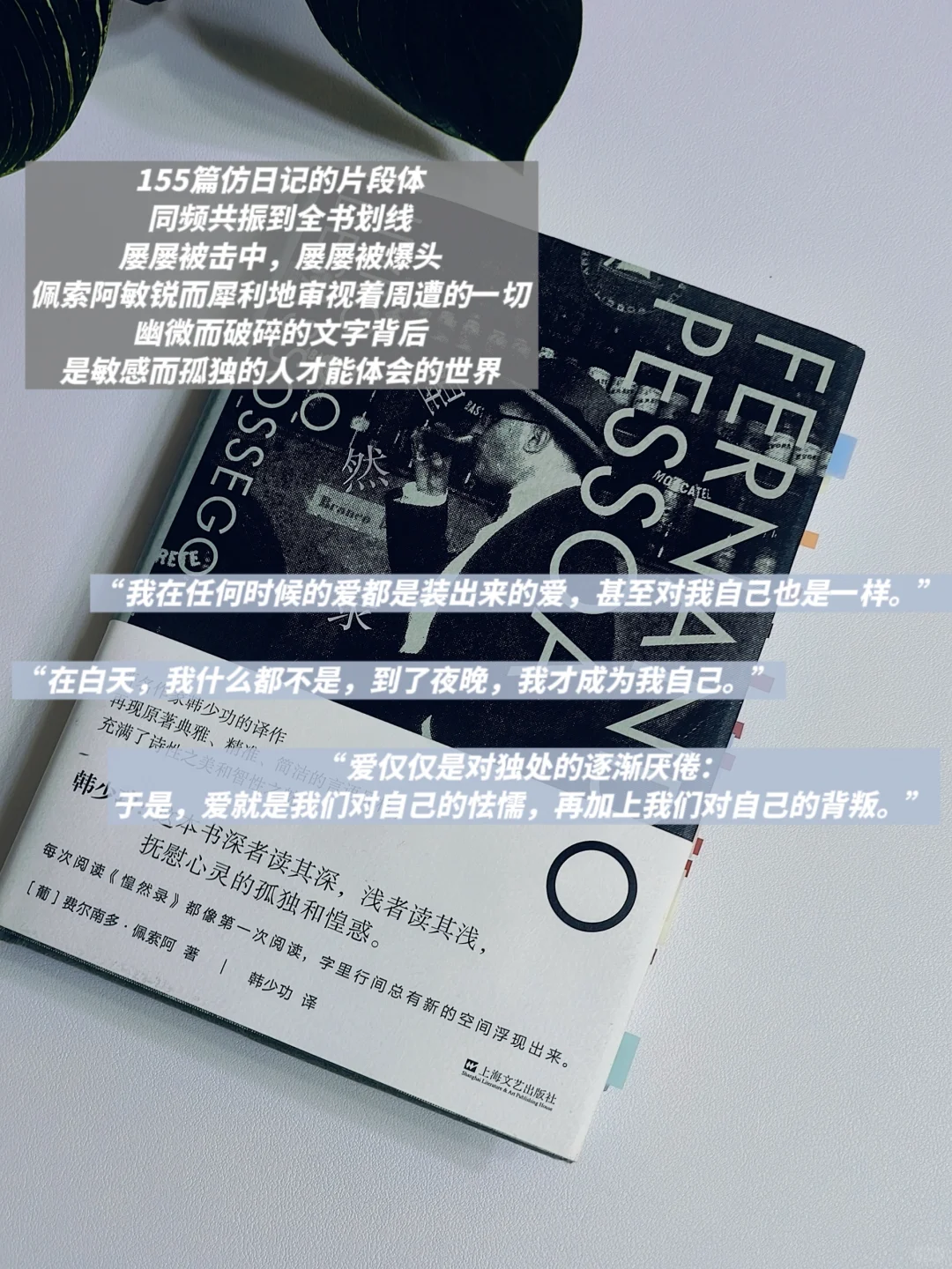INFJ灵魂书单💙自由与真我永不换