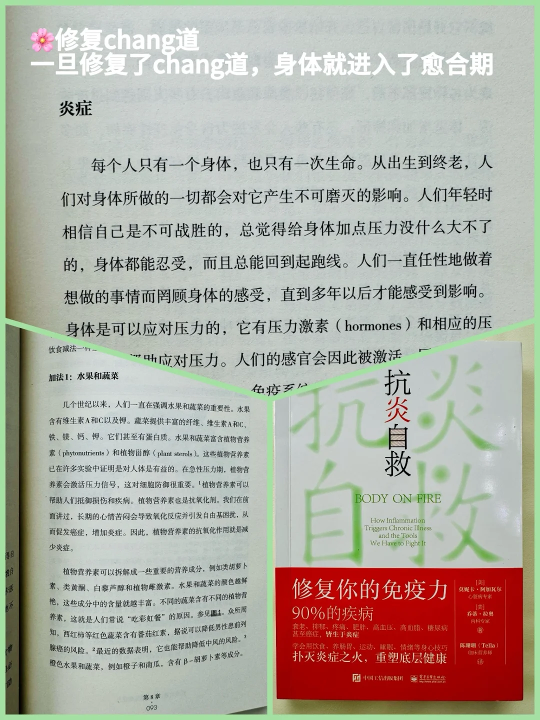 12本改变我生活方式的饮食抗🔥书单