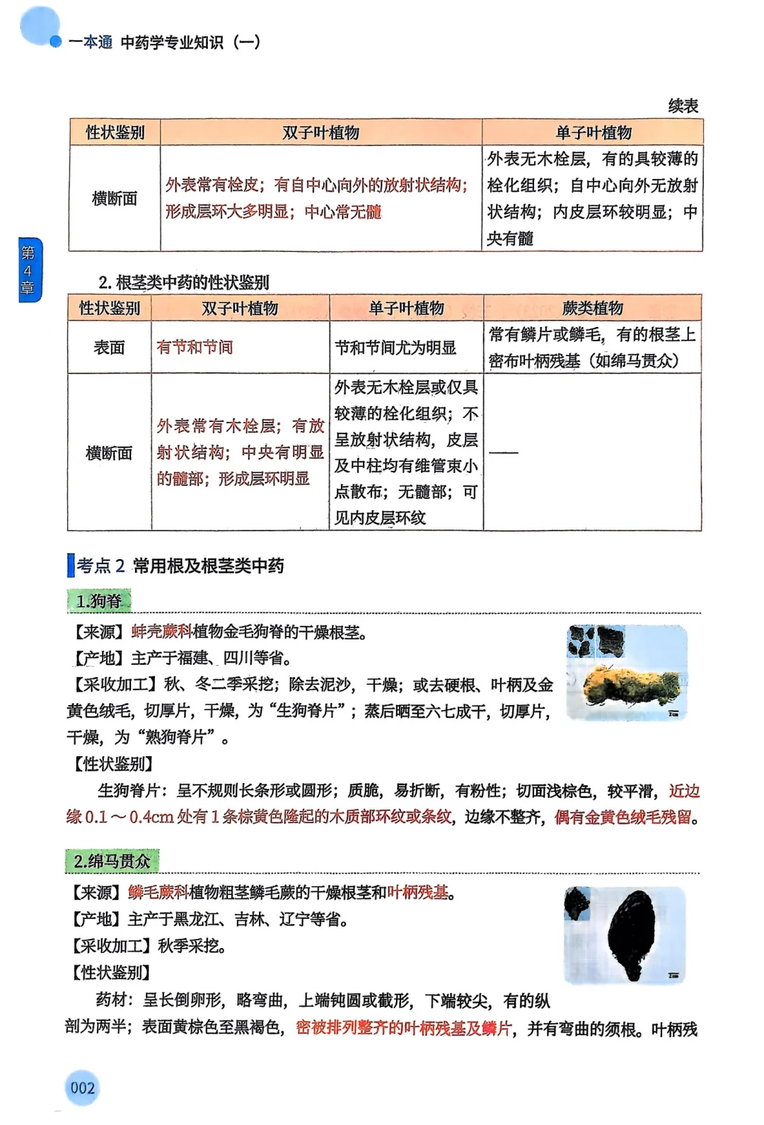 2025年执业药师执业中药师一本通全家桶pdf