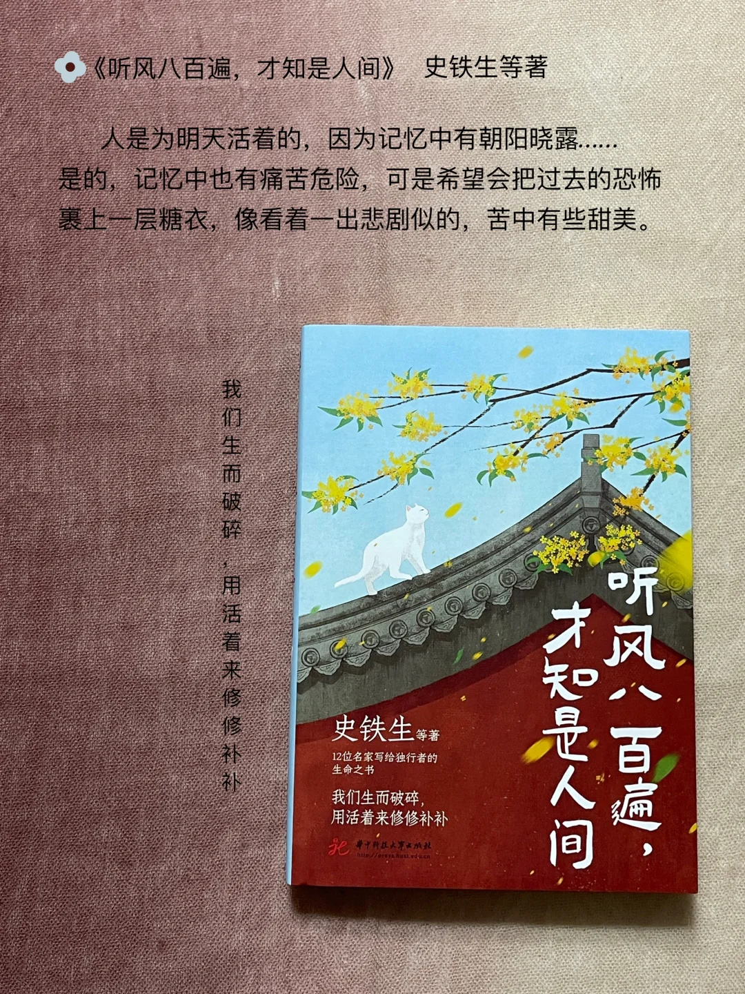 📖4月已读完-治愈系的书单🌸