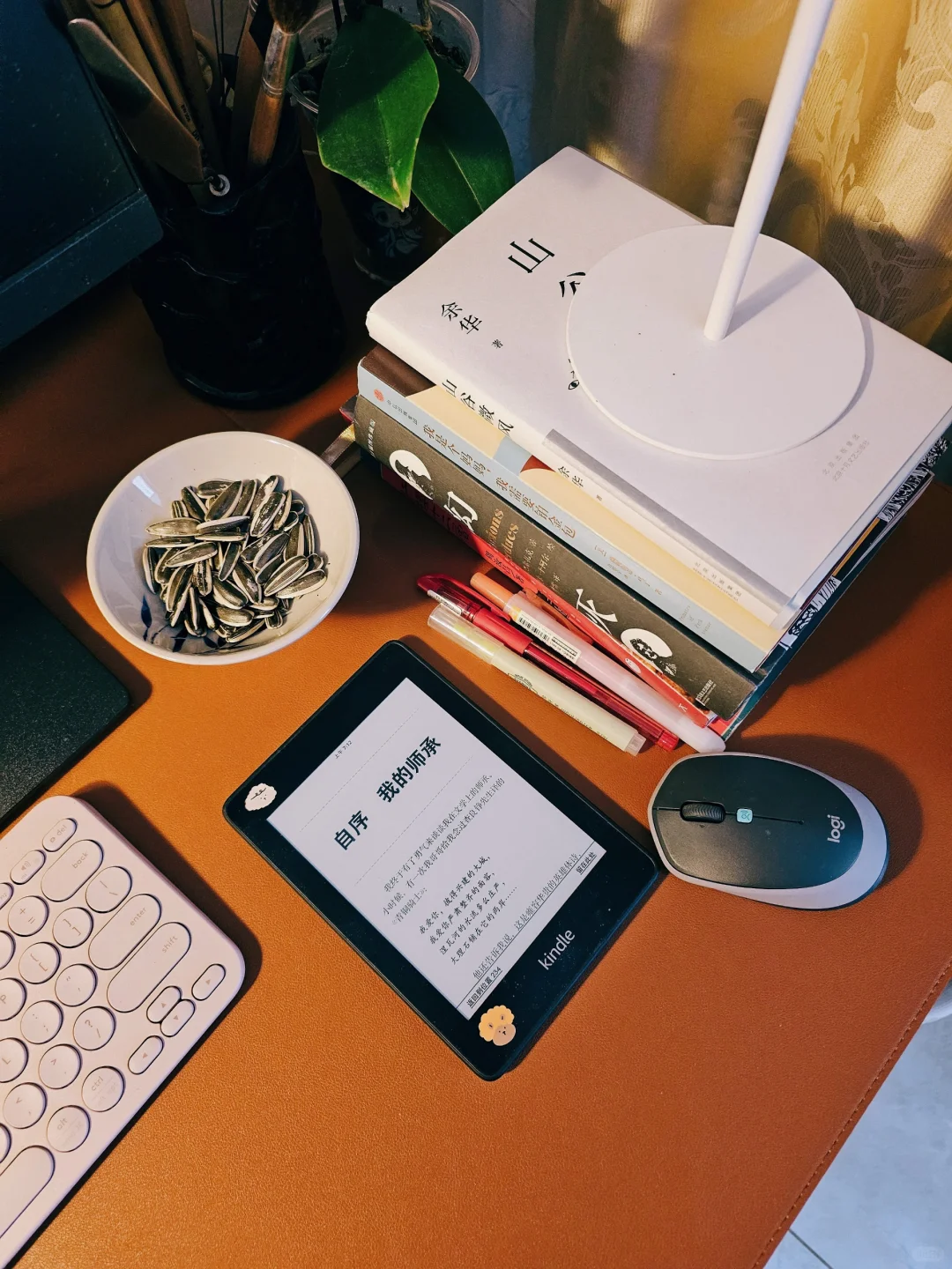 坦白局|你的最后一个kindle 是哪款