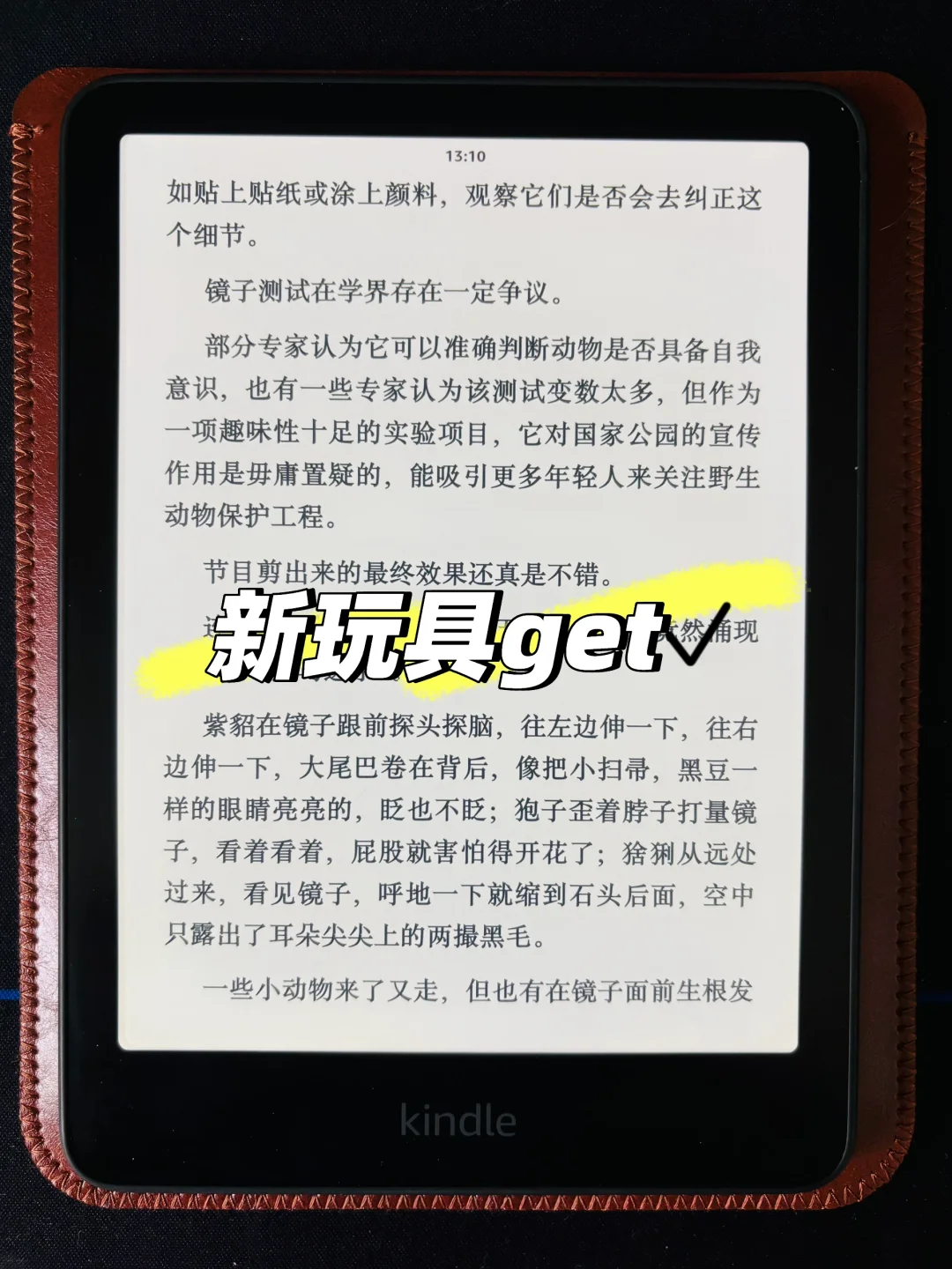 墨水屏果然有自我繁殖能力