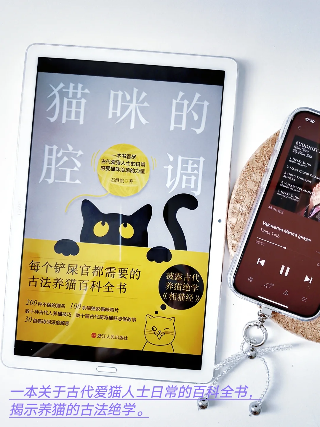完全实现电子书自由啦！