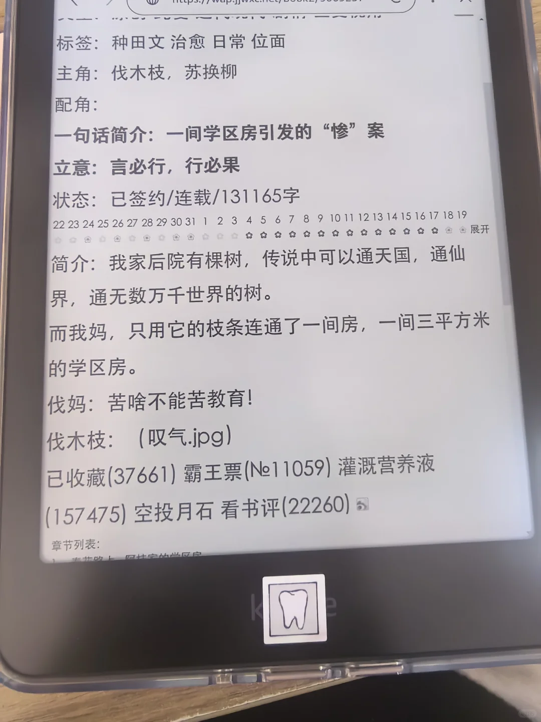 用kindle刷手机版晋江好丝滑