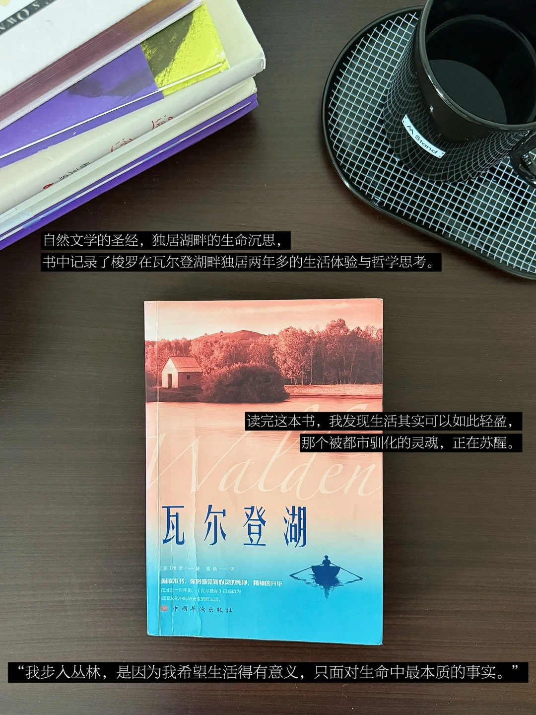 4月书单｜读了10本书，被书籍治愈着