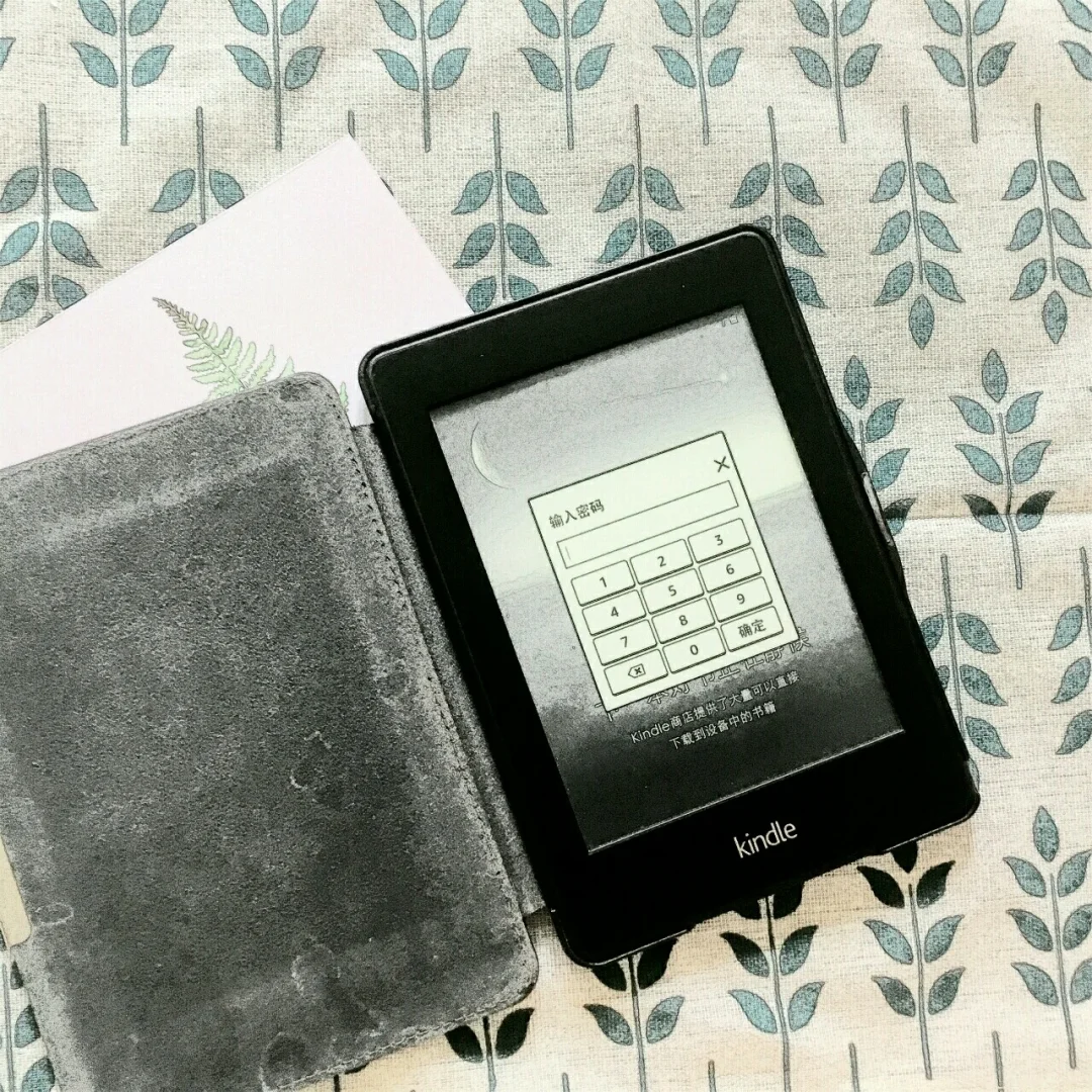 kindle入门款