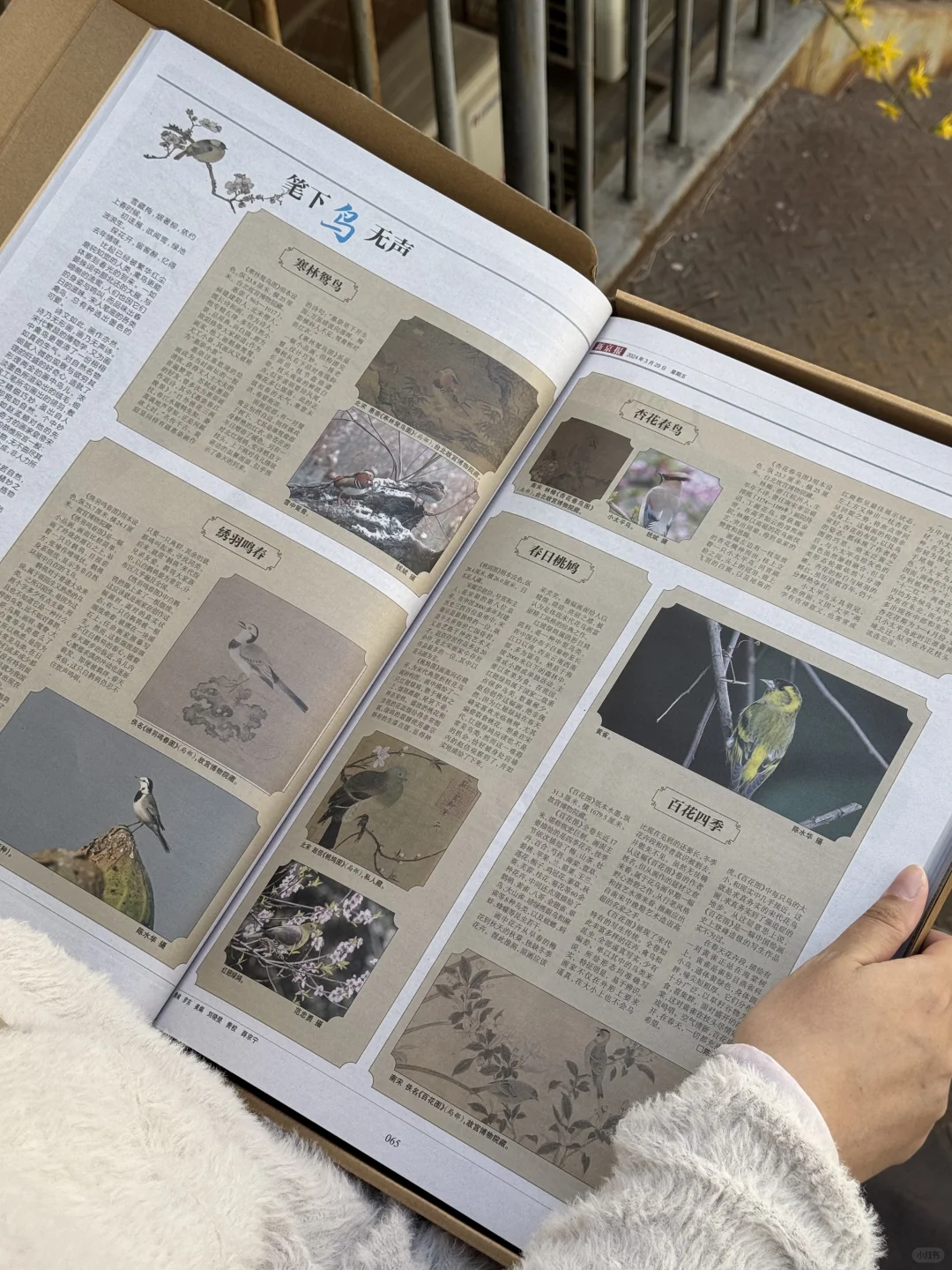 豆瓣9.5分😮2024合订本重磅而来❗