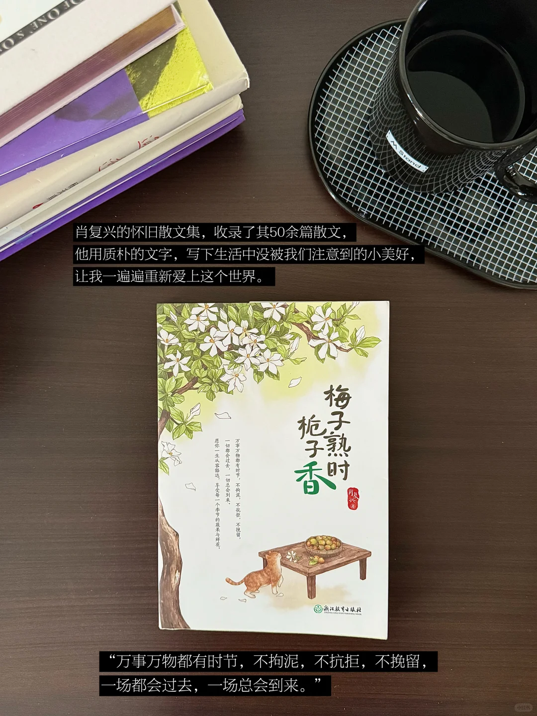 4月书单｜读了10本书，被书籍治愈着
