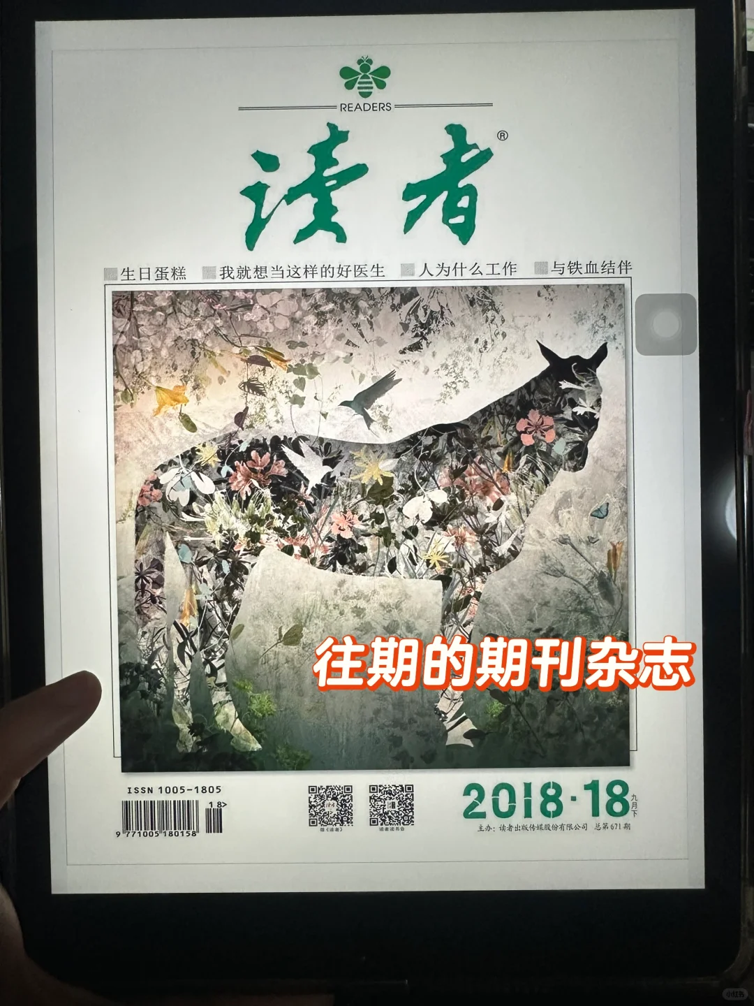 打破信息差‼️实现电子书自由🆓