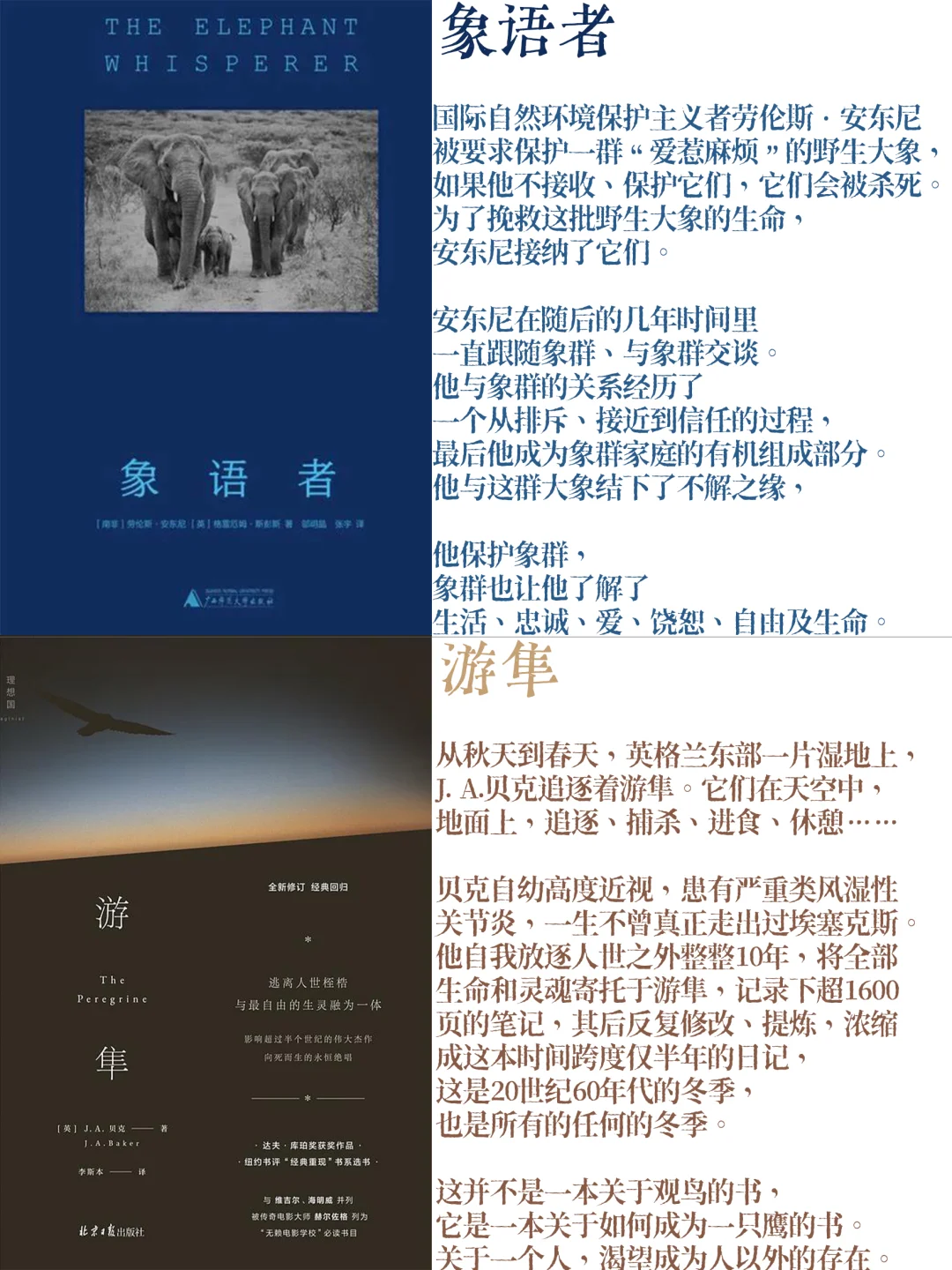 关于“企鹅在海滩捡到了一个人类”的书单