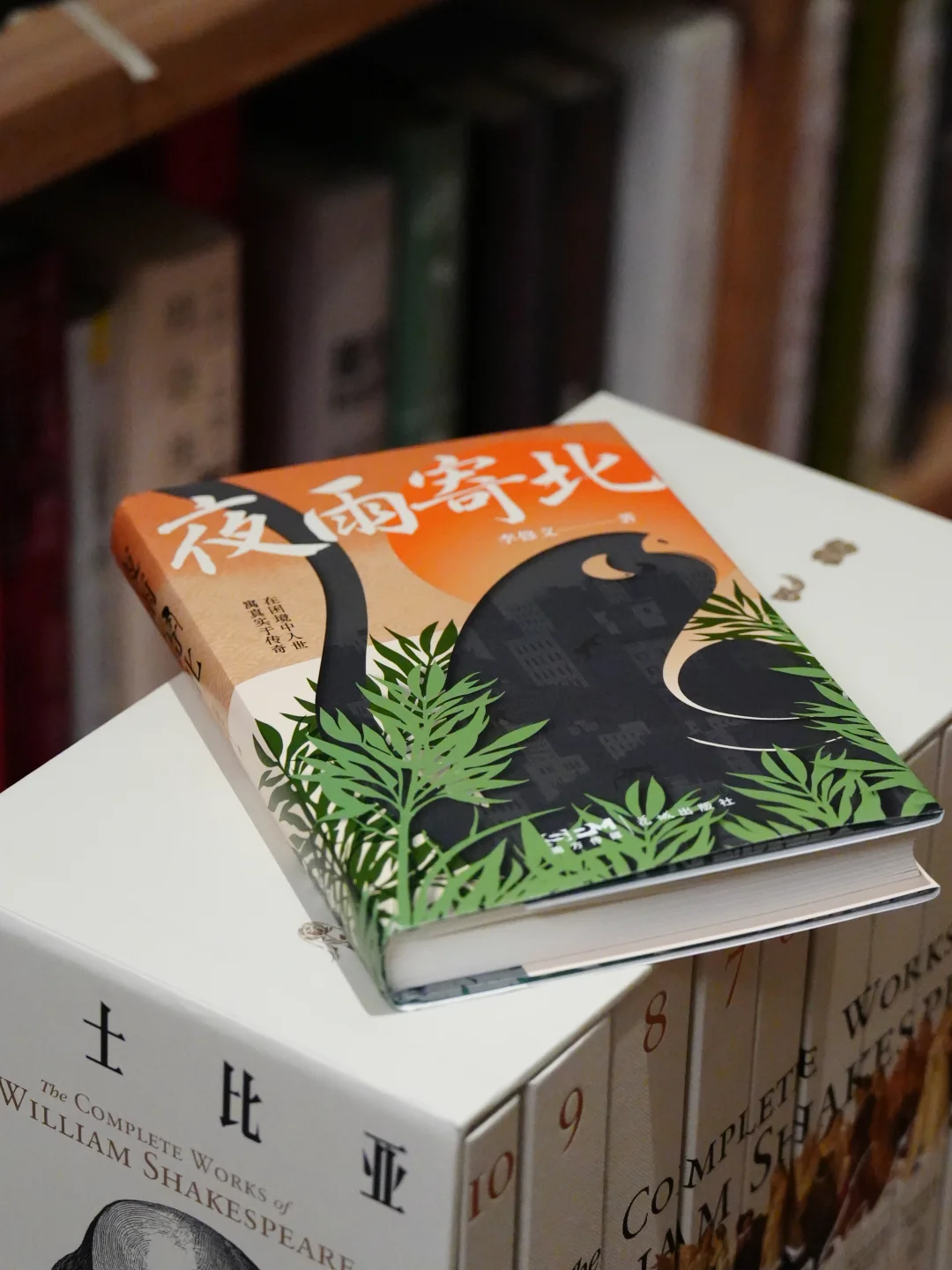 十本可以快速读完的大部头