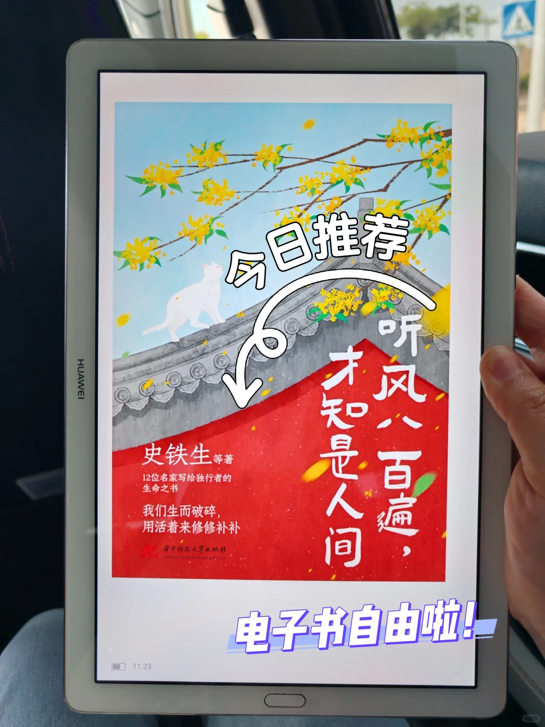 老实了❗️11.88实现了电子书自由真香啊