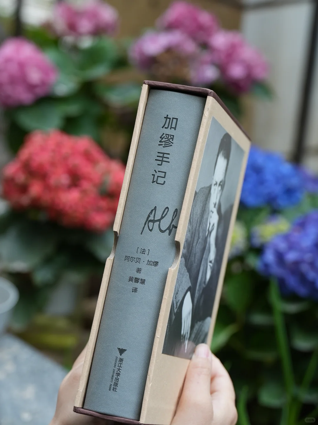 十本可以快速读完的大部头