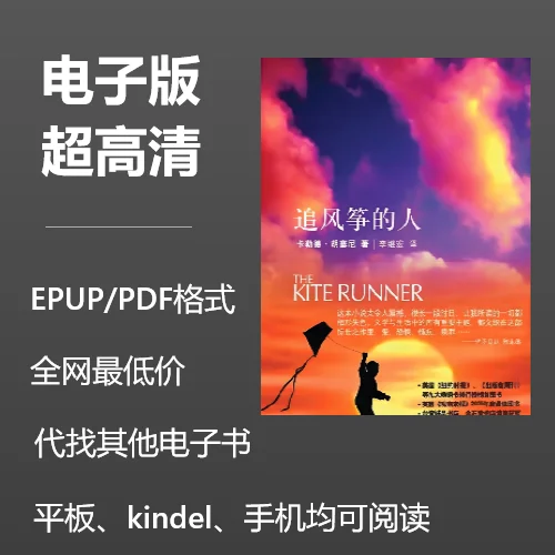 电子书《追风筝的人》0.8元