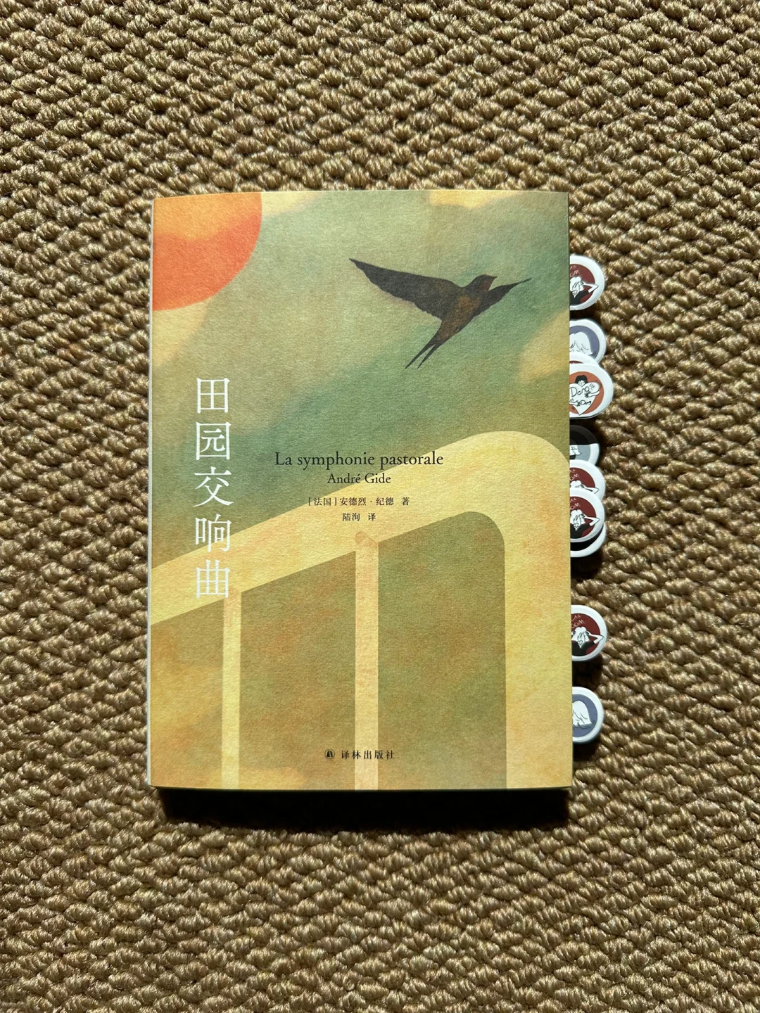 4月书单｜读完了6本好书