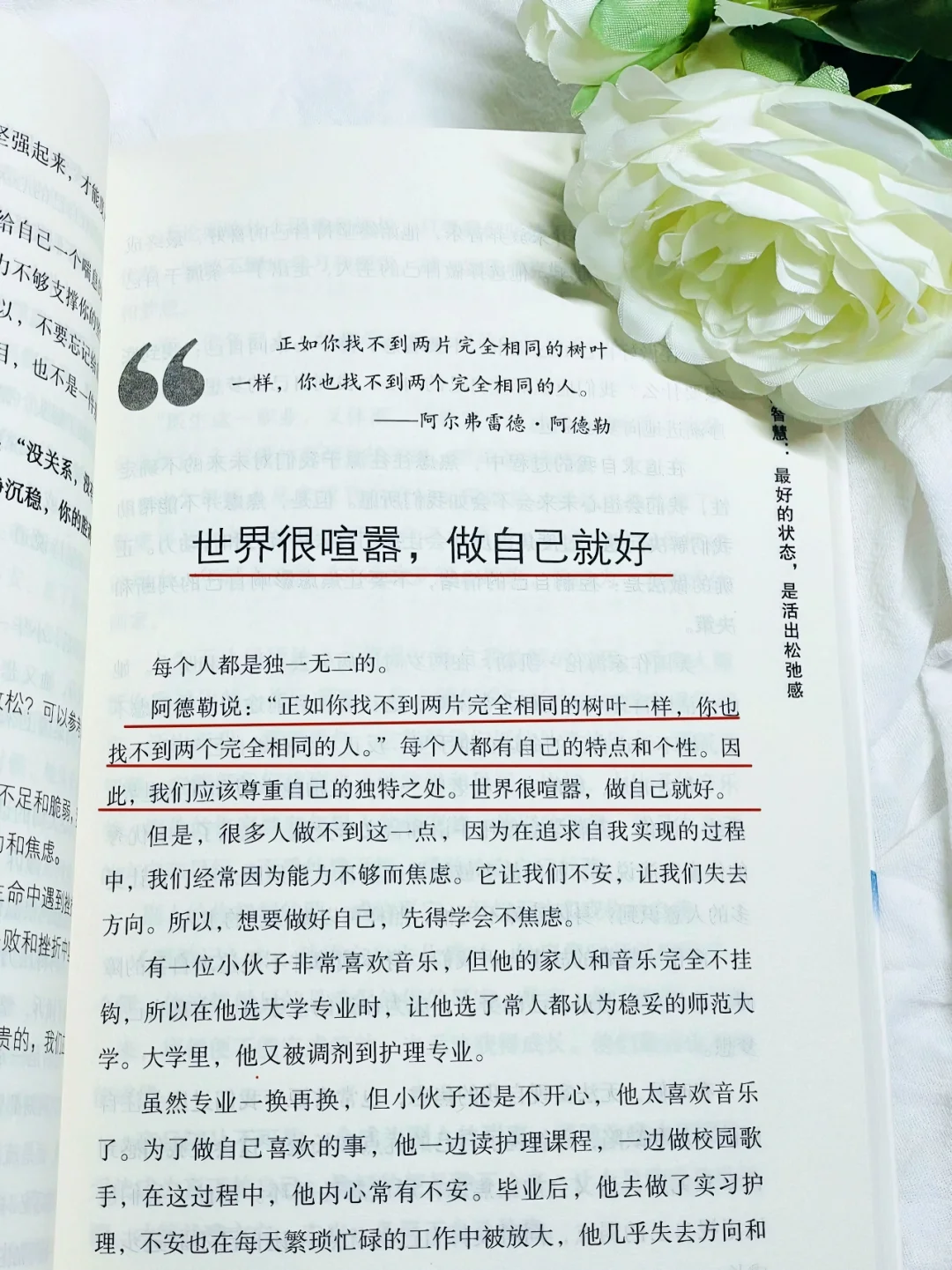 送给“卷又卷不过，躺又躺不平”的你