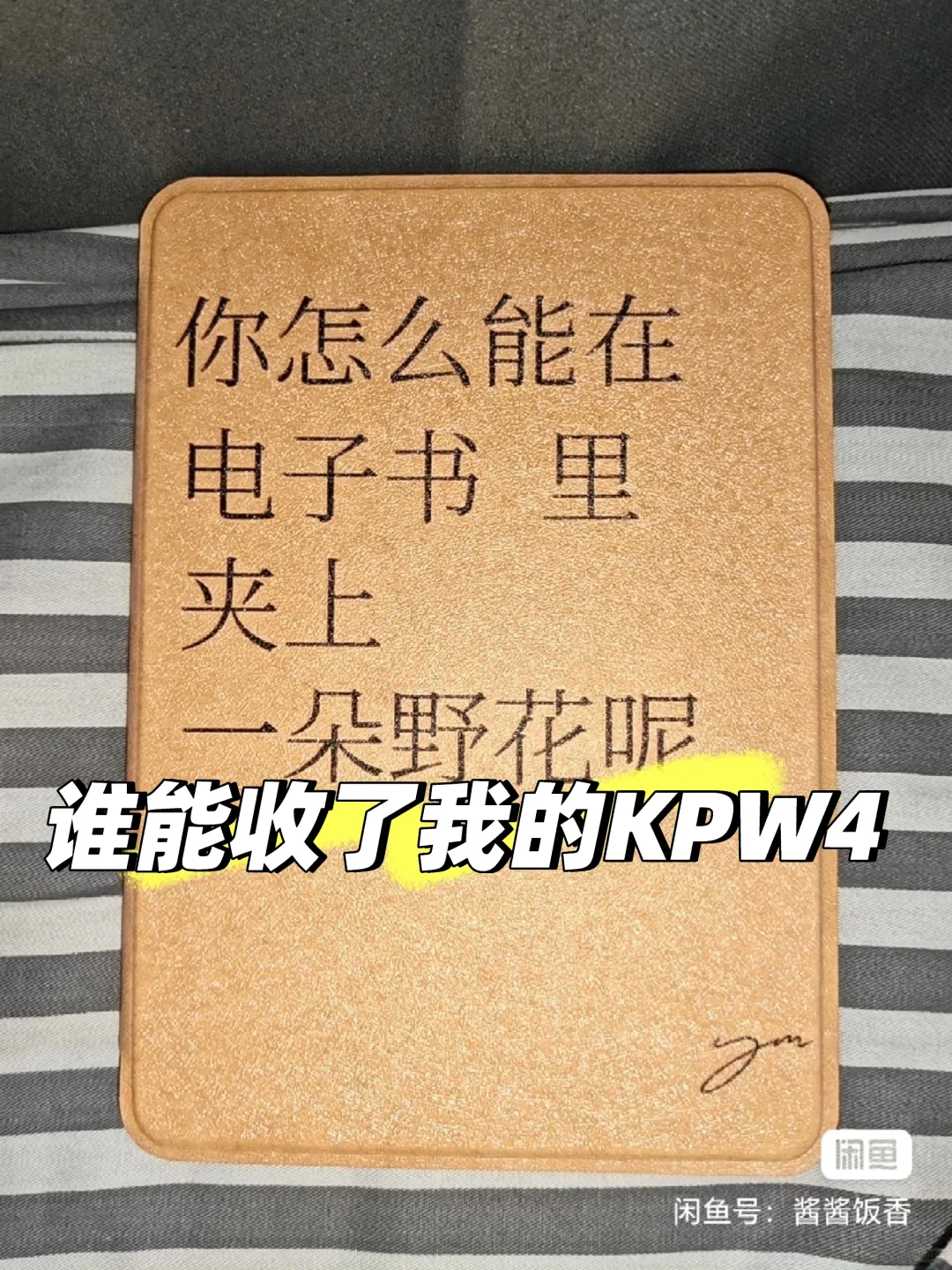 kindle kpw4