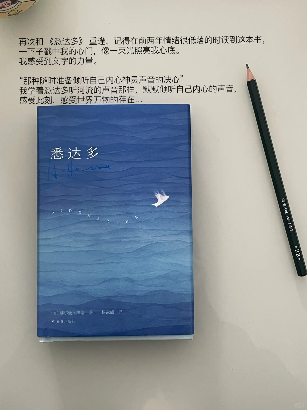 六月书单｜这个月的书就先读到这里
