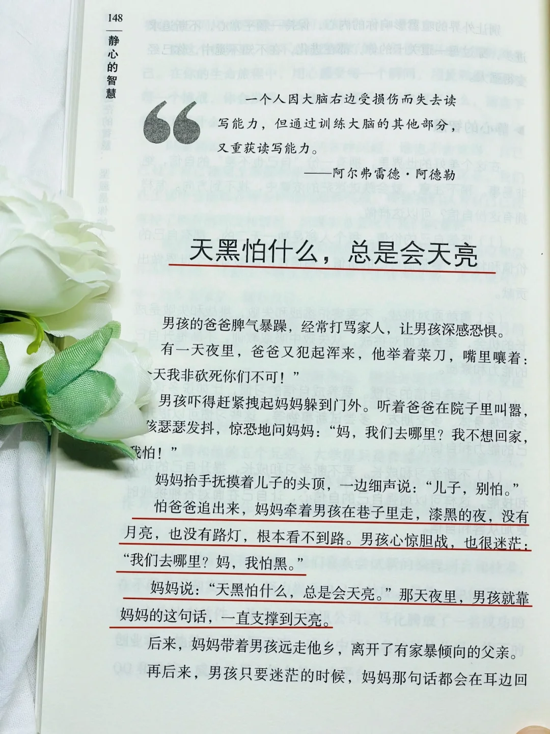 送给“卷又卷不过，躺又躺不平”的你