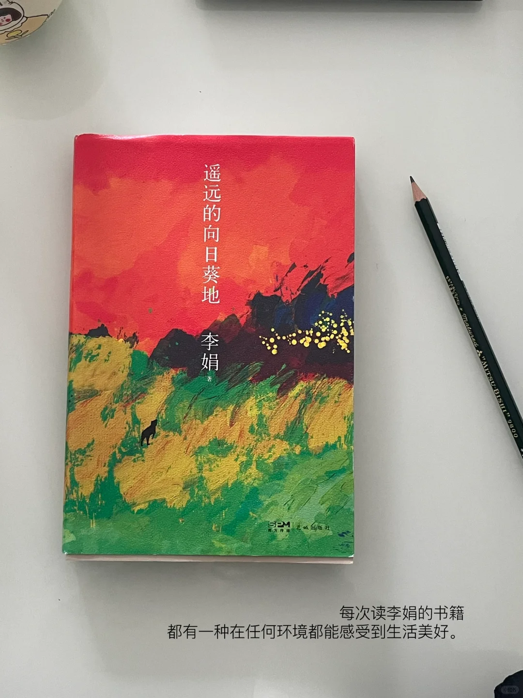 六月书单｜这个月的书就先读到这里