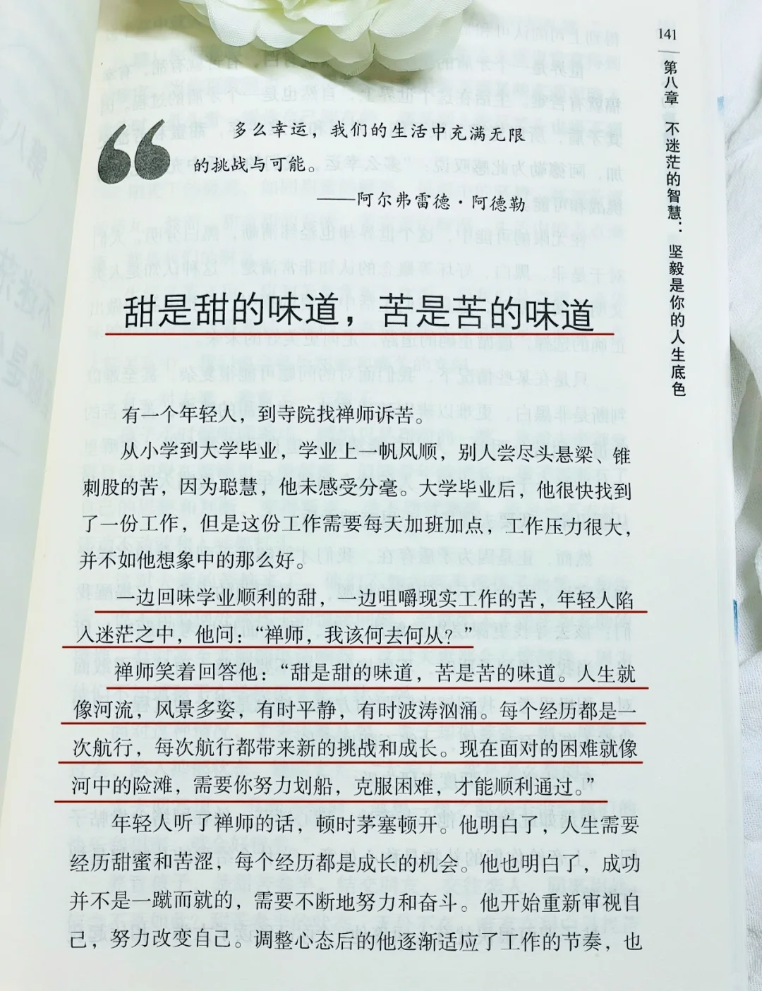 送给“卷又卷不过，躺又躺不平”的你
