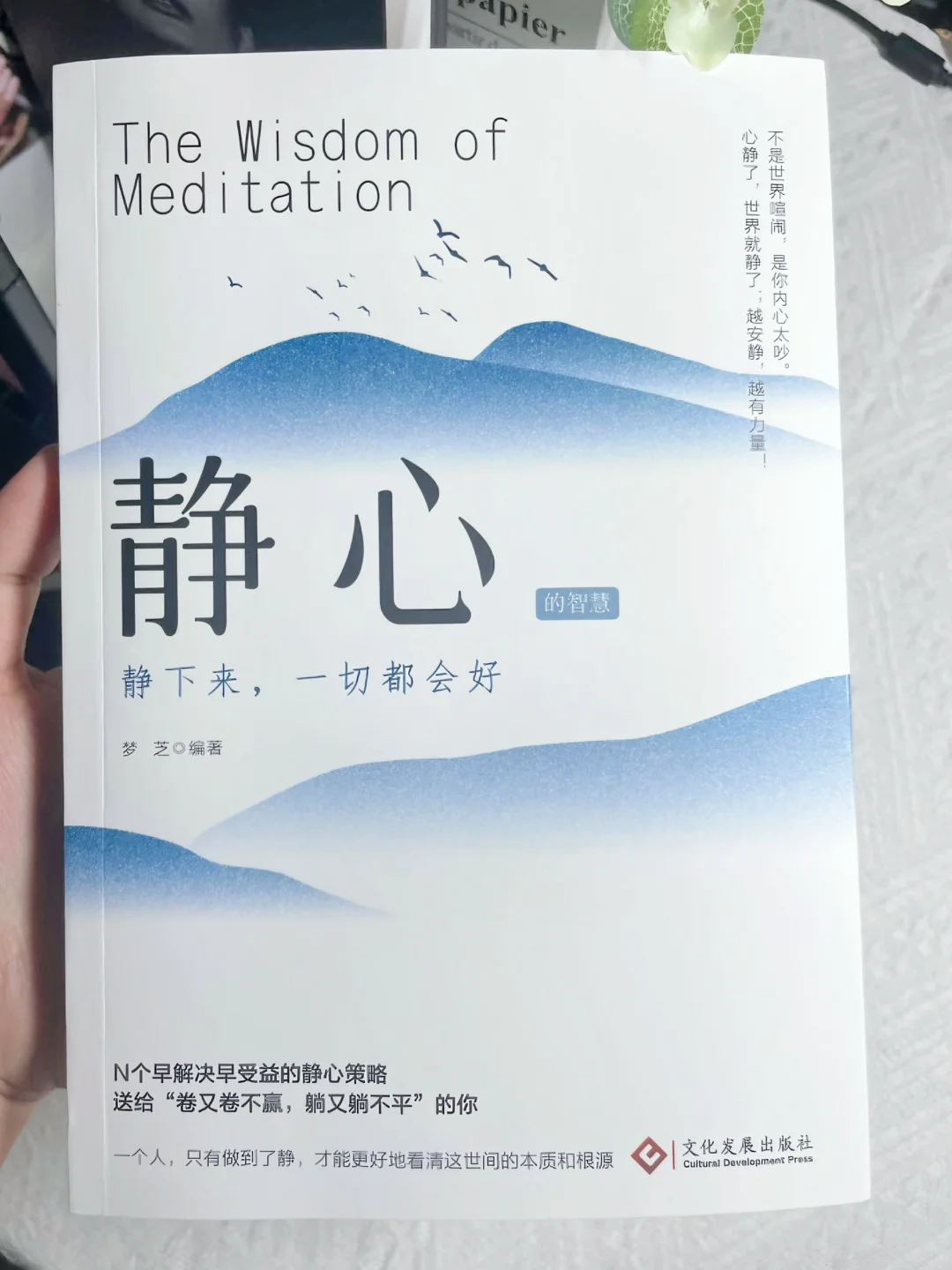 送给“卷又卷不过，躺又躺不平”的你