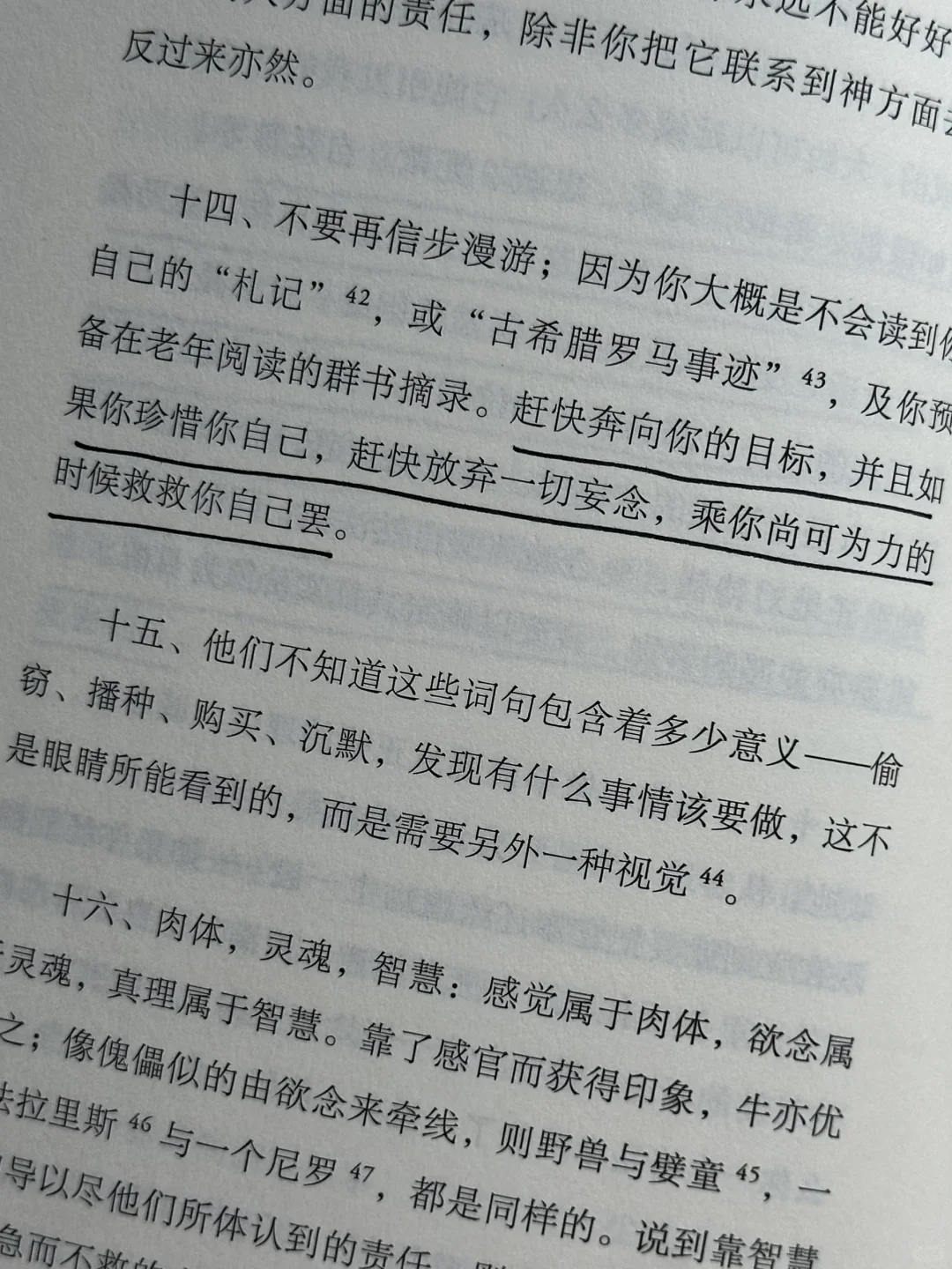 别太晚读到！！！