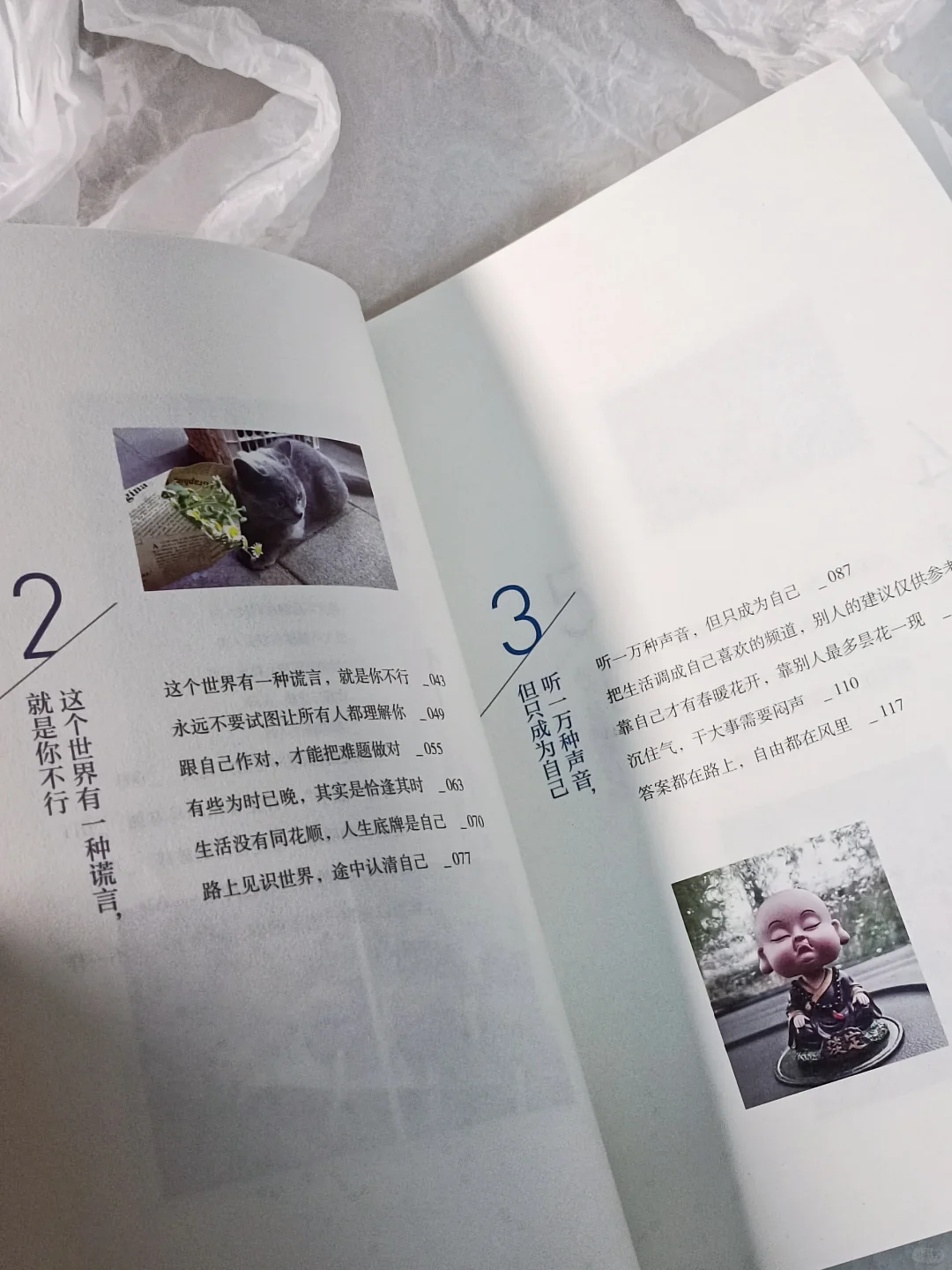这本书太温暖，太治愈了💚我真的太爱了❗
