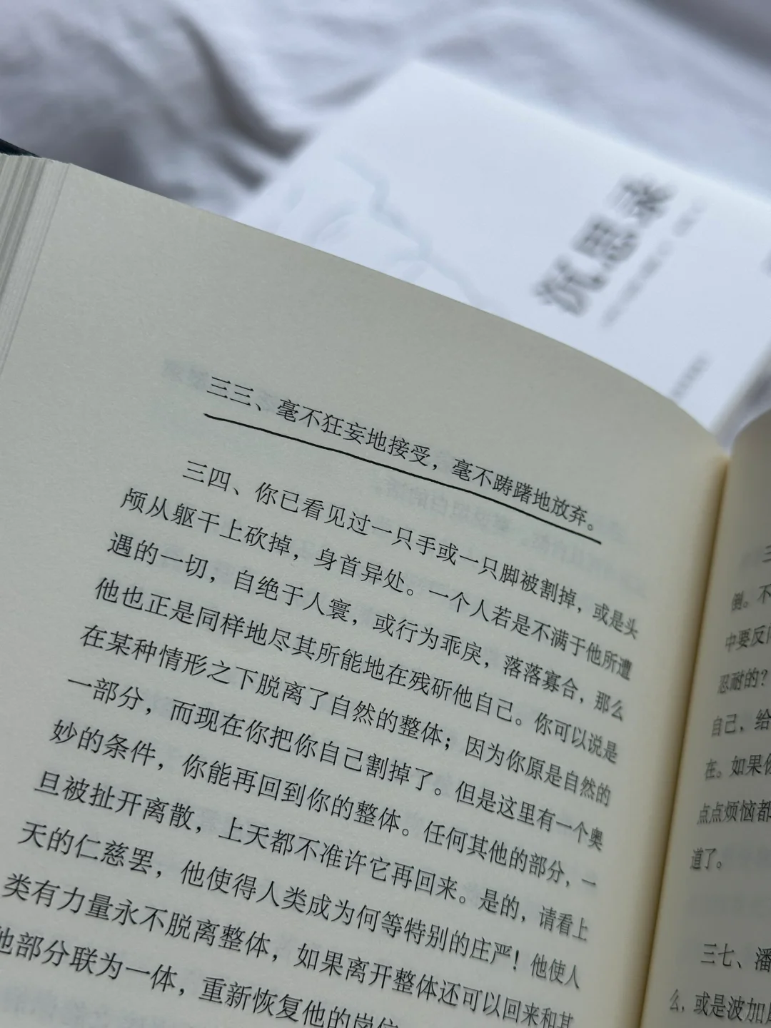 别太晚读到！！！