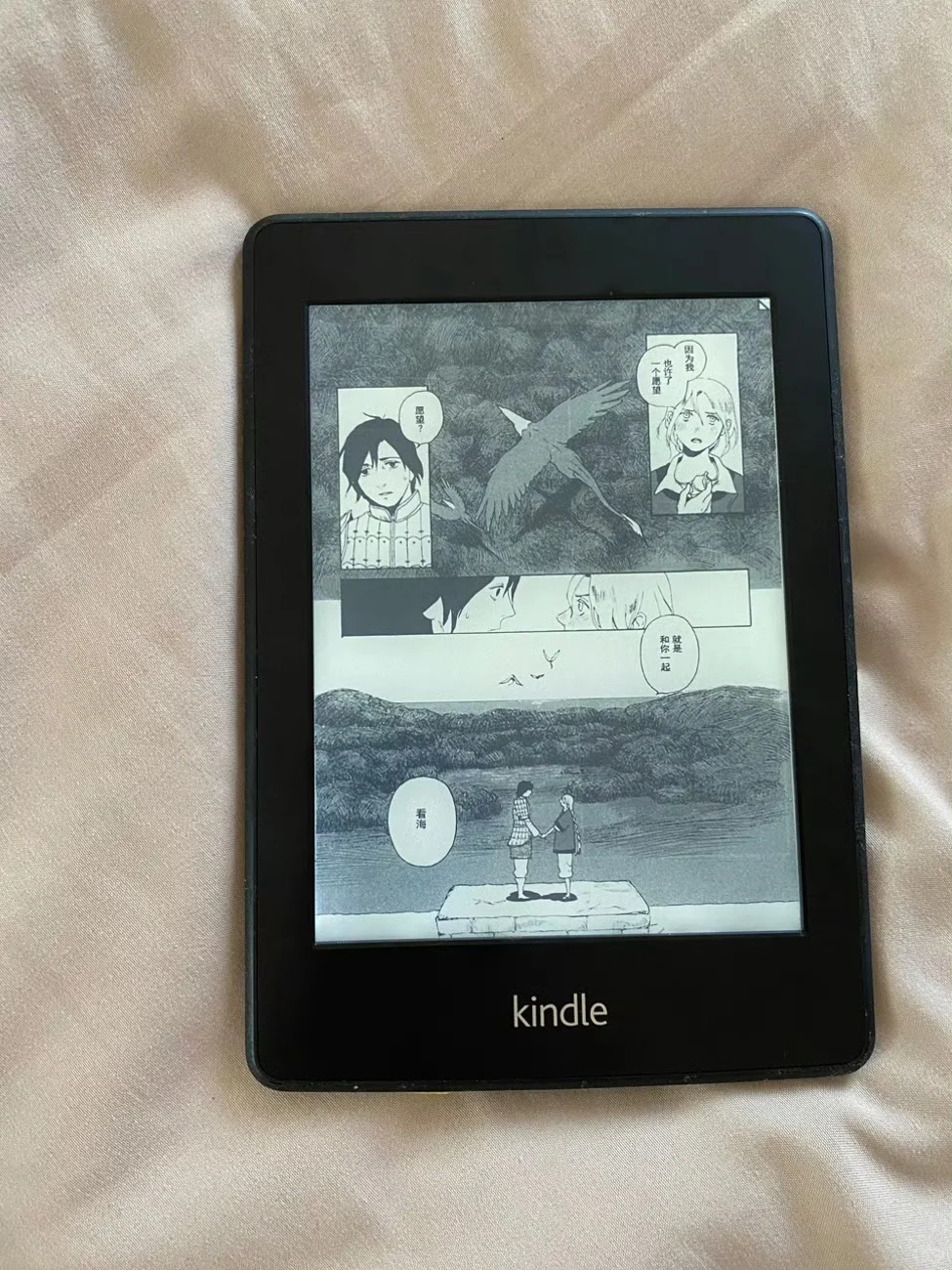 1️⃣2️⃣0️⃣包邮出kindle
