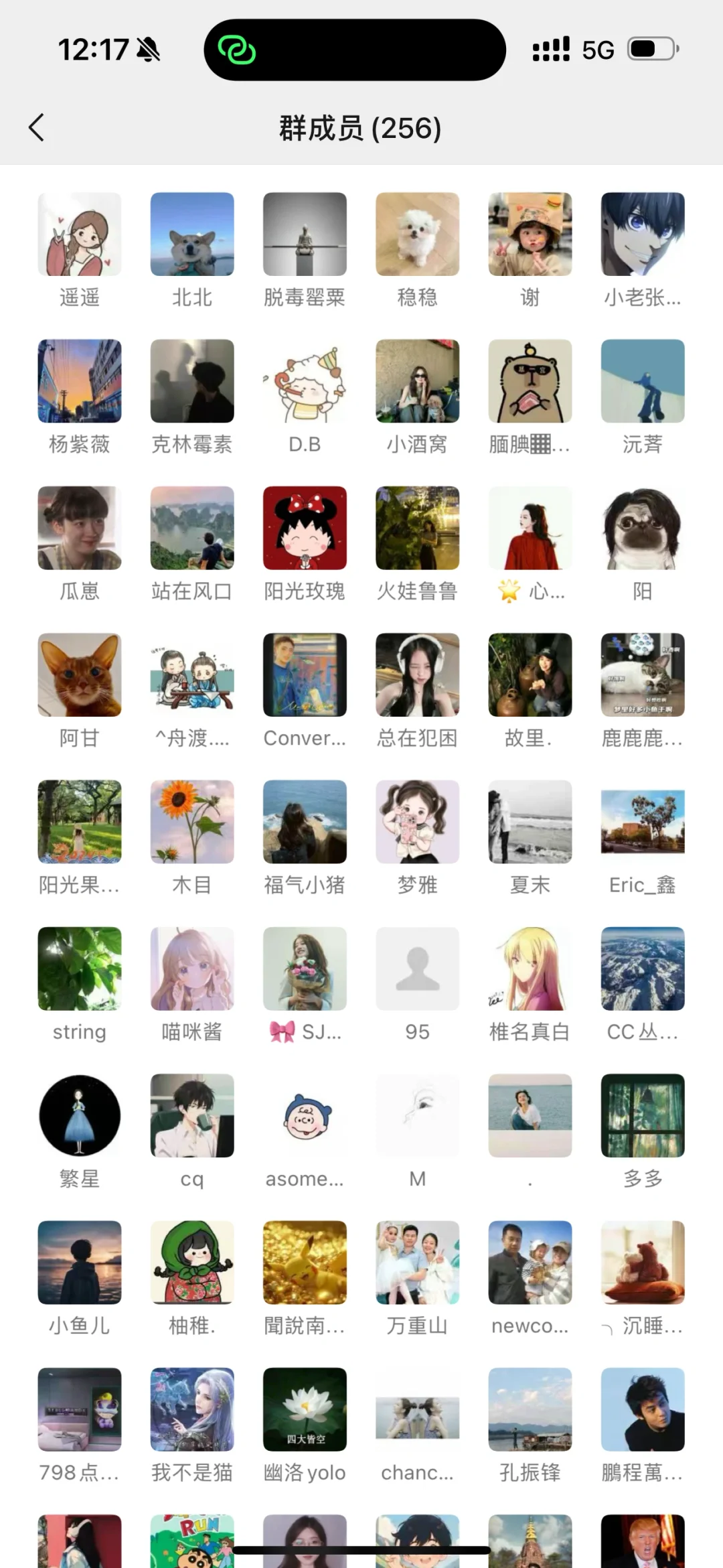 🔥建了一个资源共享群，有效打破信息差📚