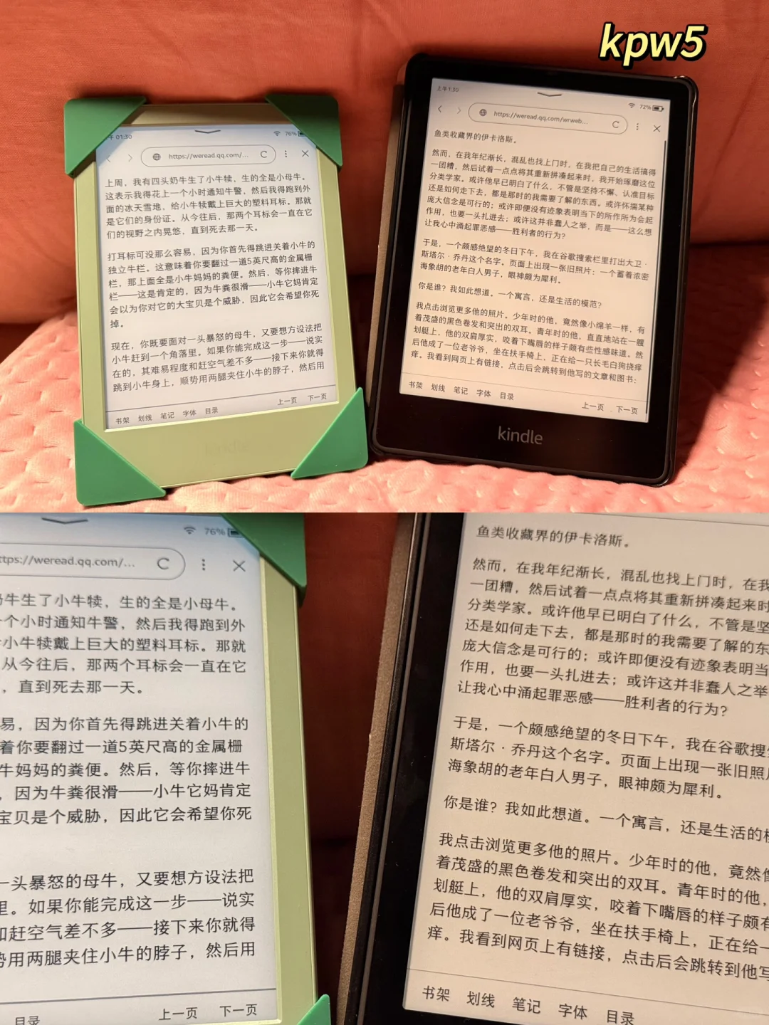 一些不同光线下的kindle小绿