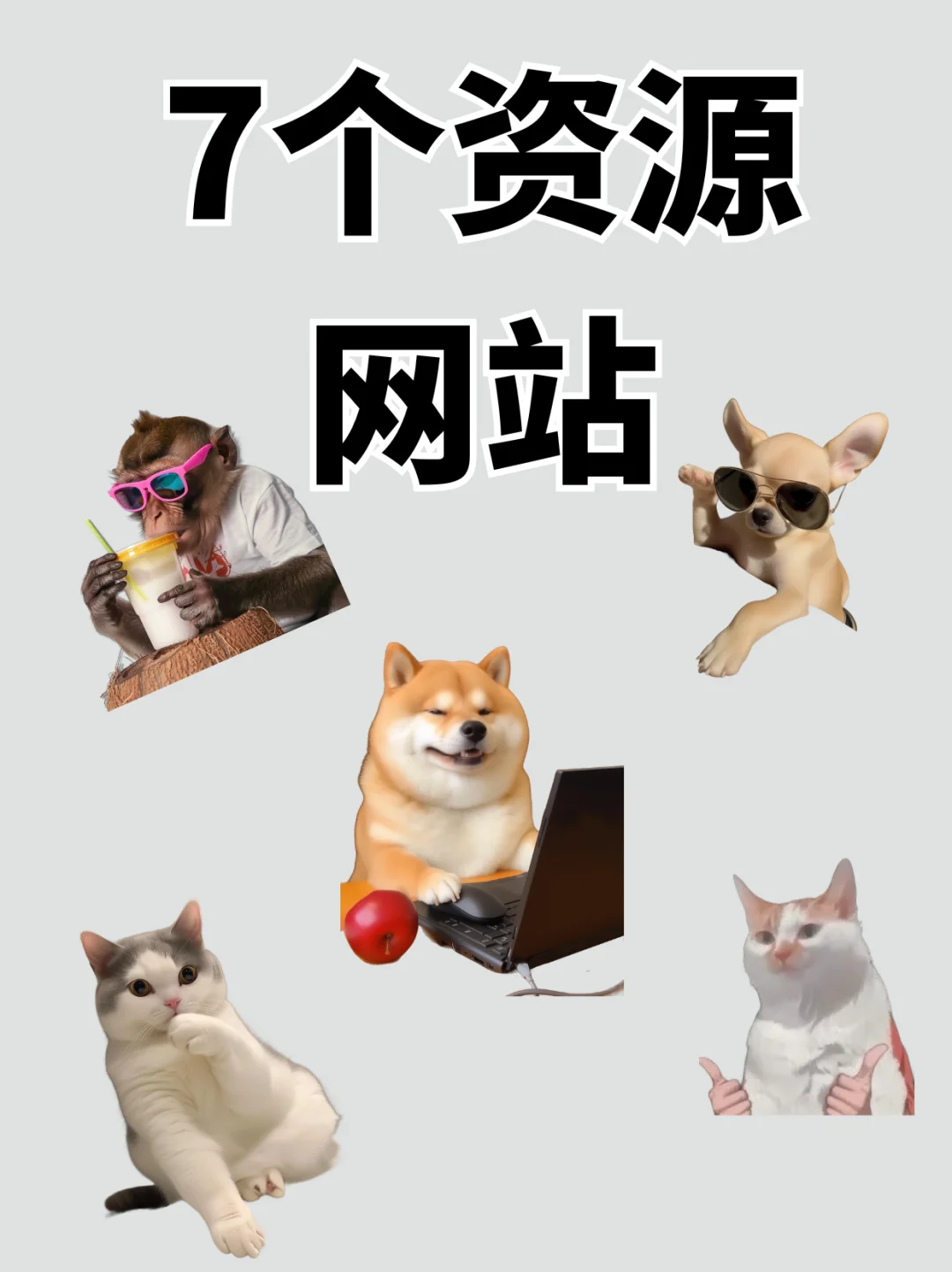 7个宝藏资源网站，别说你不需要🤫