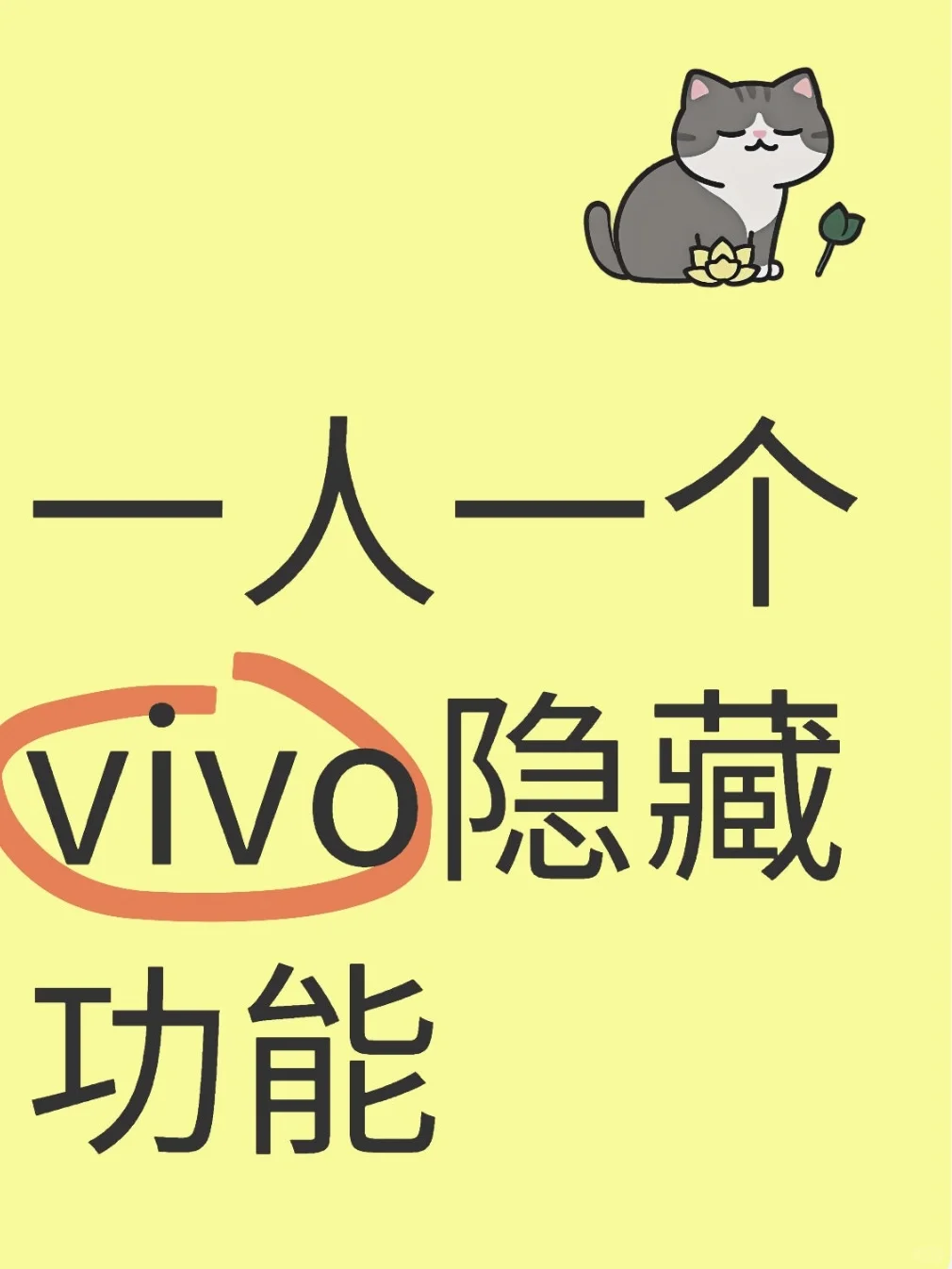 一人一个vivo隐藏功能