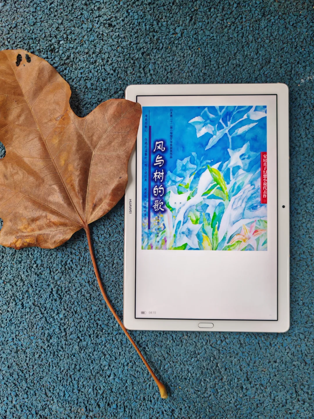 有iPad的都要有电子书啊！电子书自由真的香